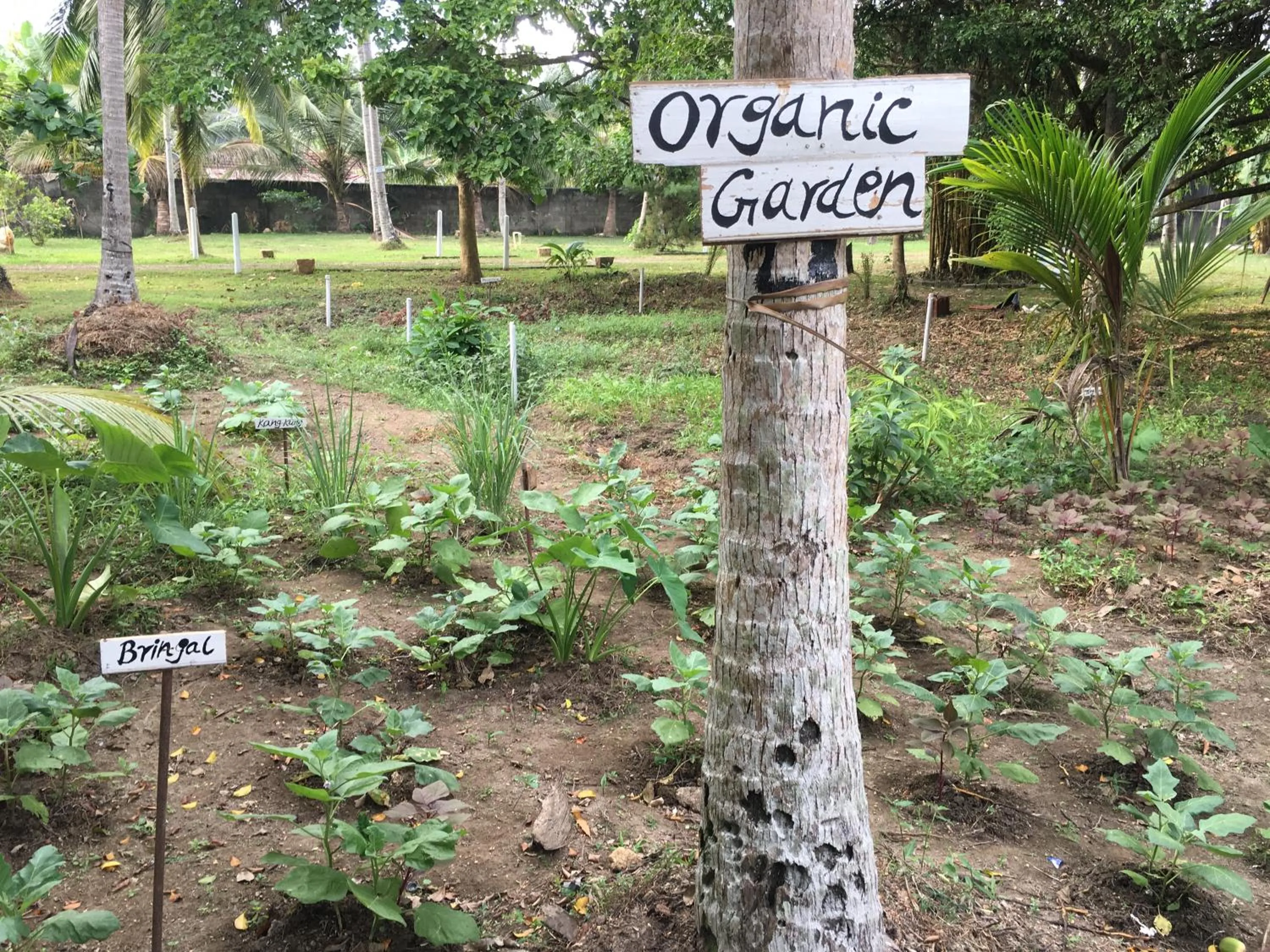 Garden in Nooit Gedacht Heritage Hotel (Original Dutch Governors House)