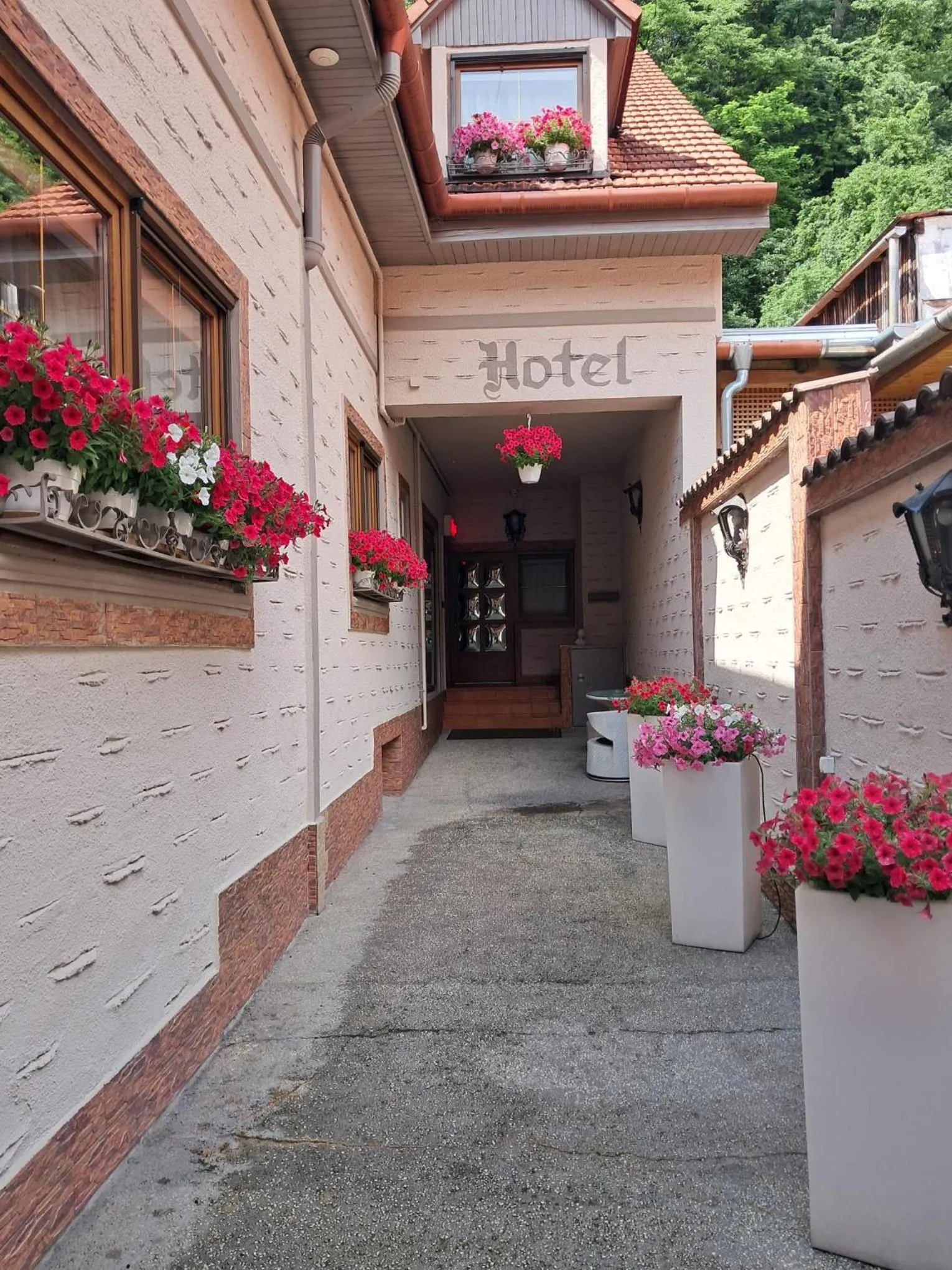 Inner courtyard view in Hotel Claudiu