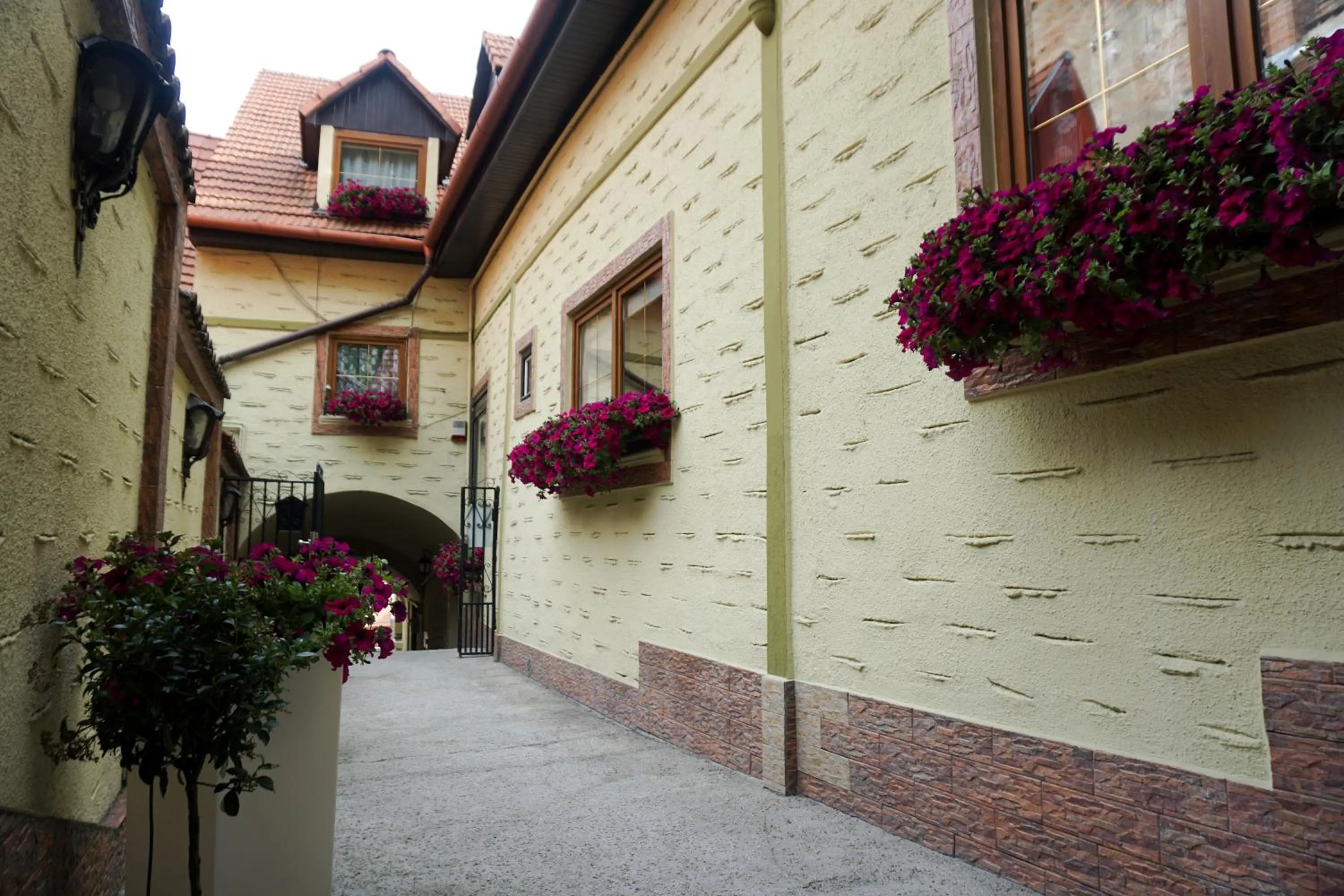 Balcony/Terrace in Hotel Claudiu