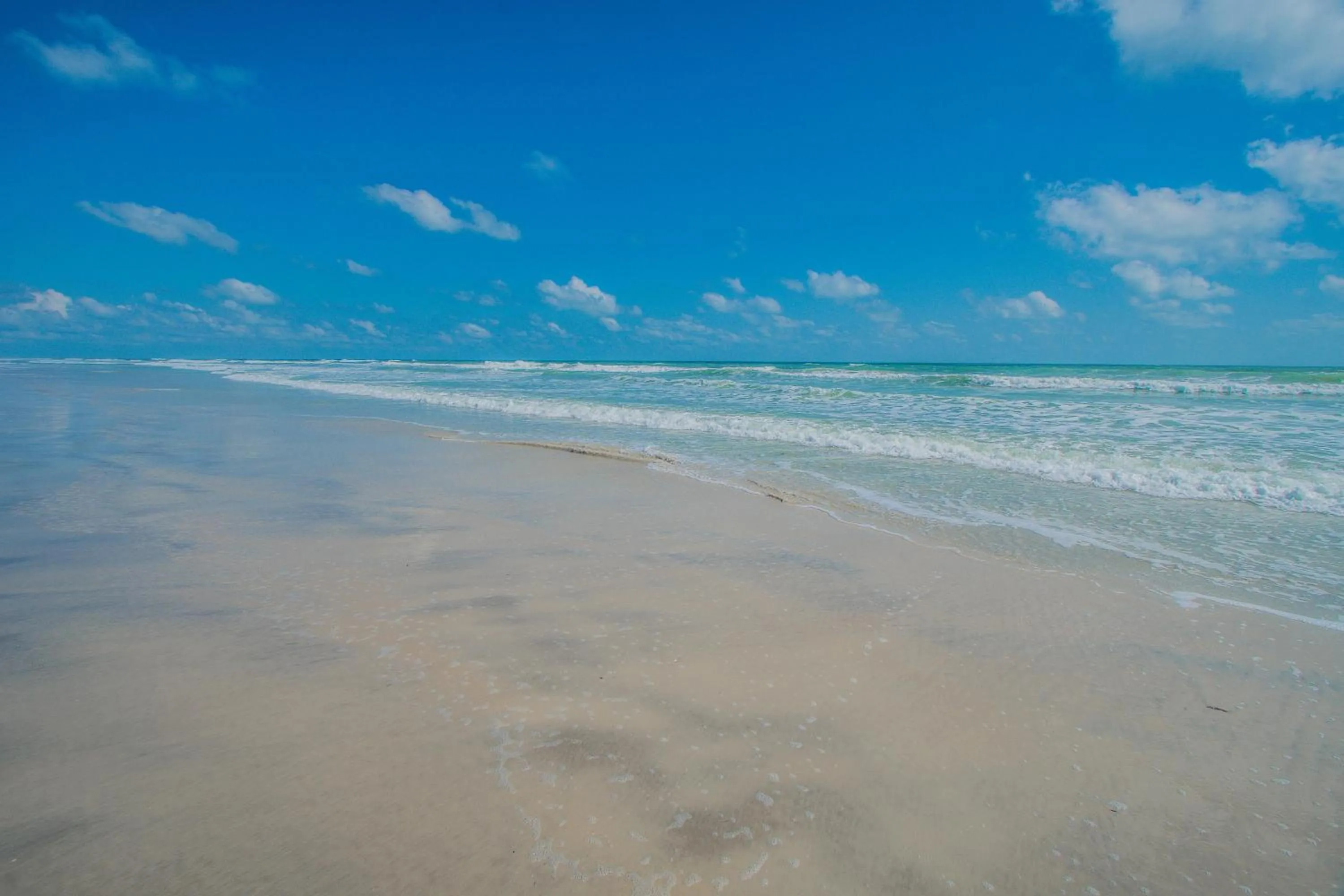 Property building in Ocean Beach Club
