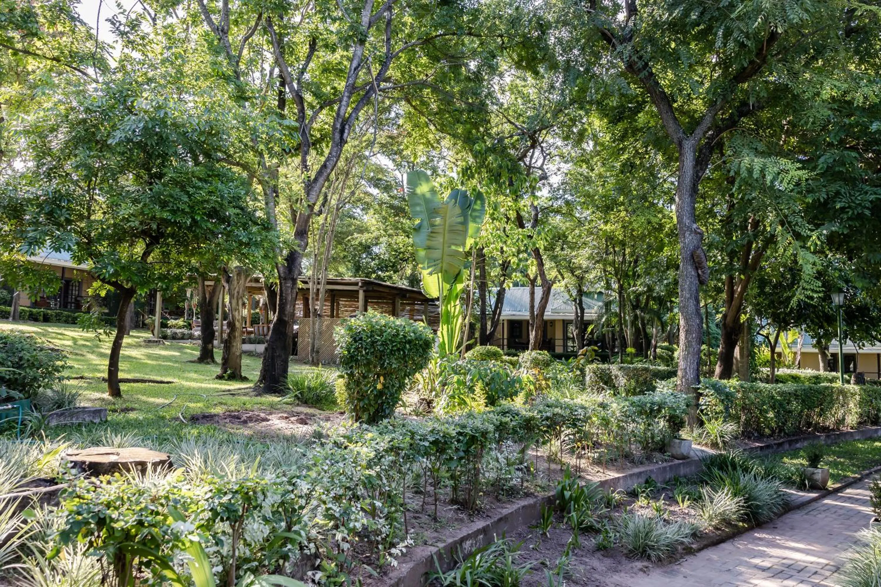 Natural landscape in Perry's Bridge Hollow Boutique Hotel