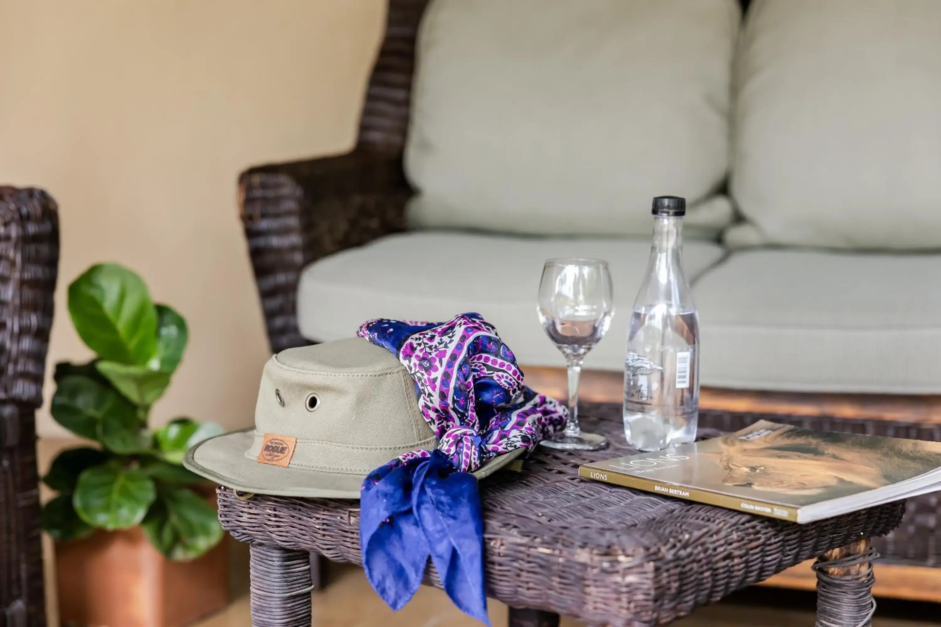 Garden view in Perry's Bridge Hollow Boutique Hotel Garden view in Perry's Bridge Hollow Boutique Hotel