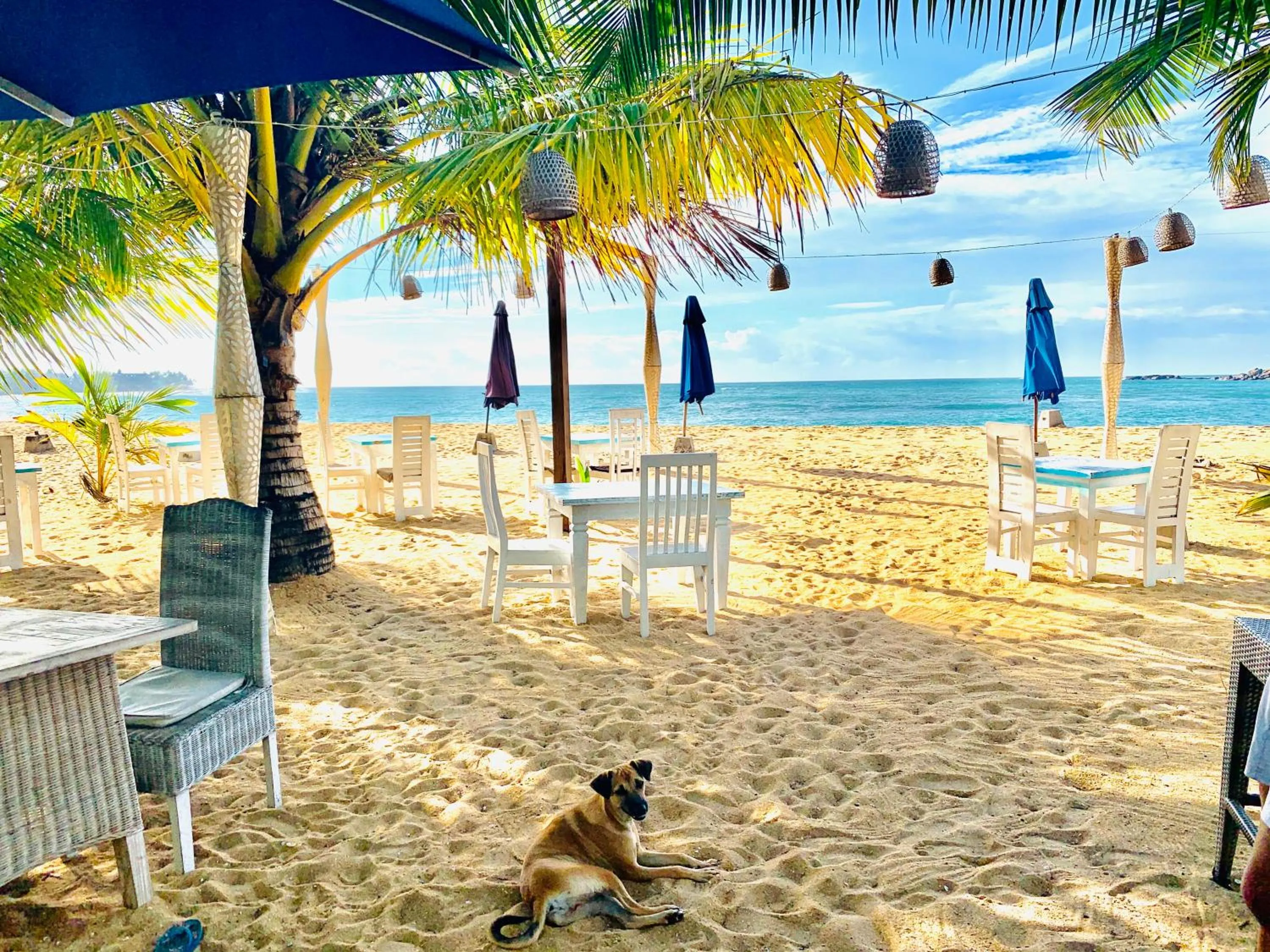 Beach in Thaproban Beach House