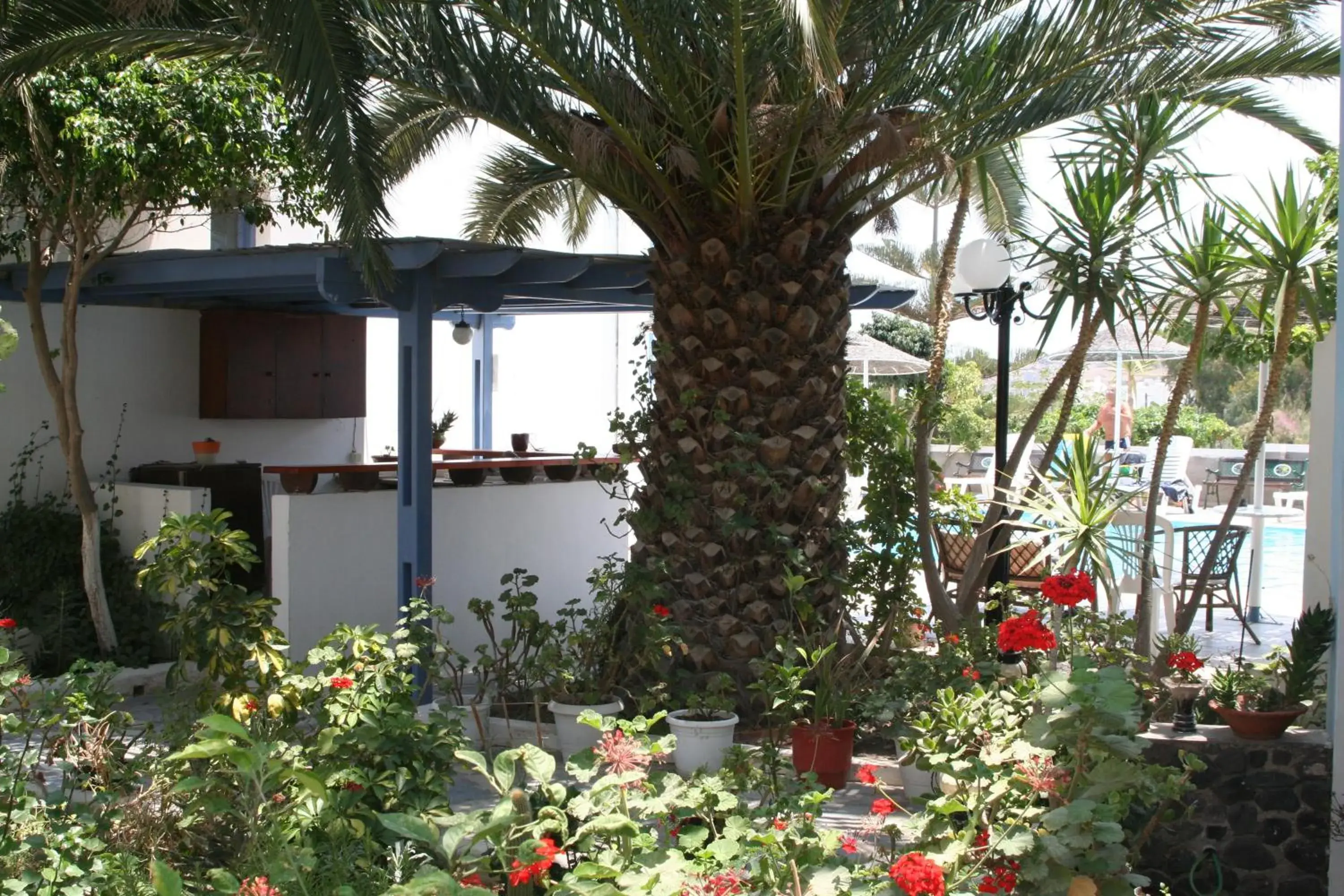 Lounge or bar in Hotel Kalma Lounge or bar in Hotel Kalma