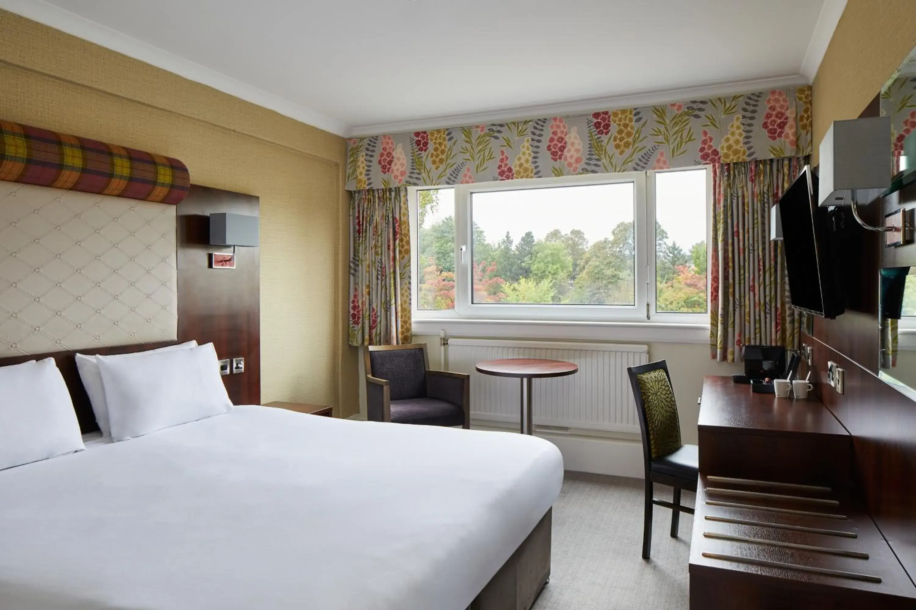 Bed in Leonardo Inn Glasgow West End Bed in Leonardo Inn Glasgow West End