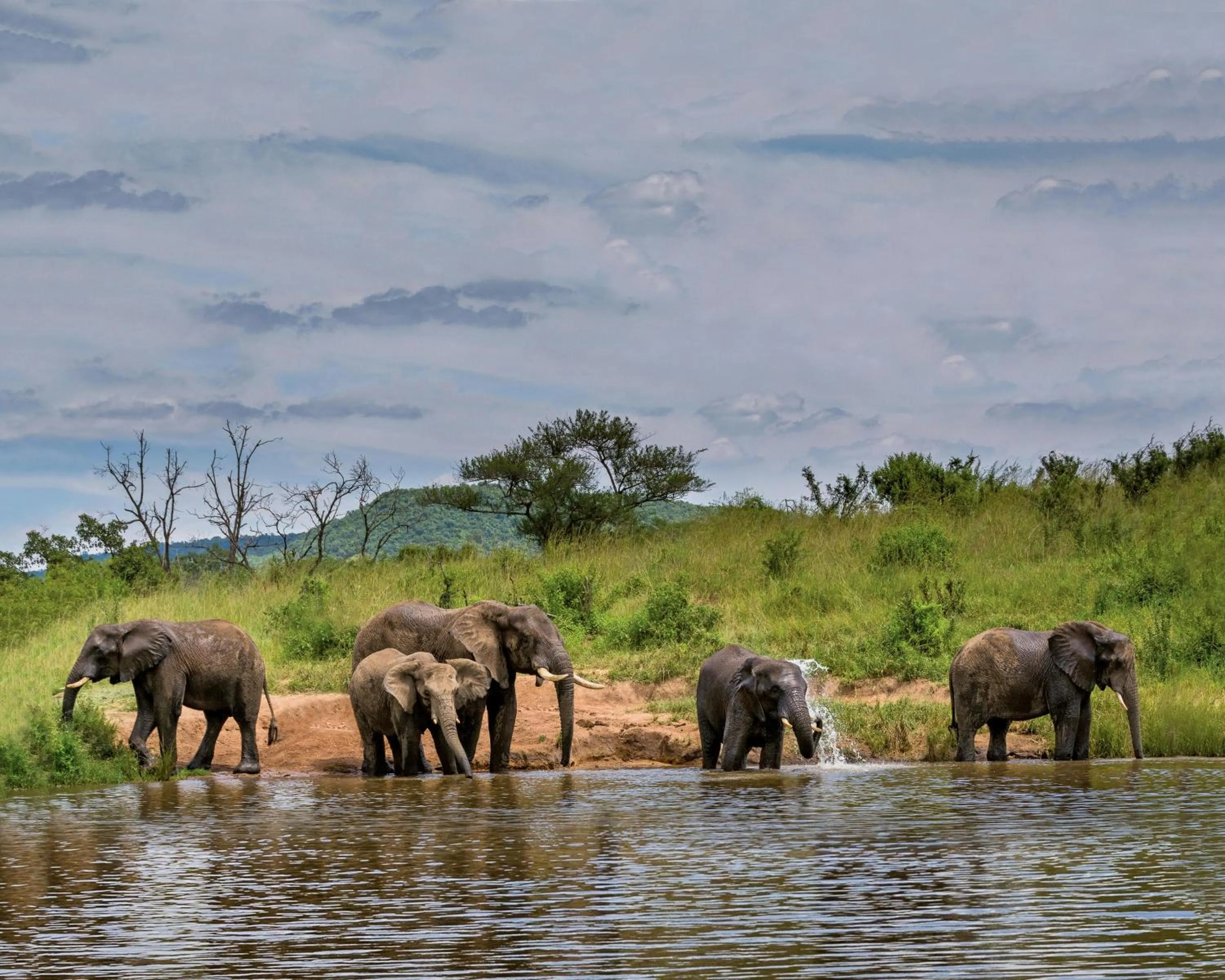 Activities in Hippo Hollow Country Estate