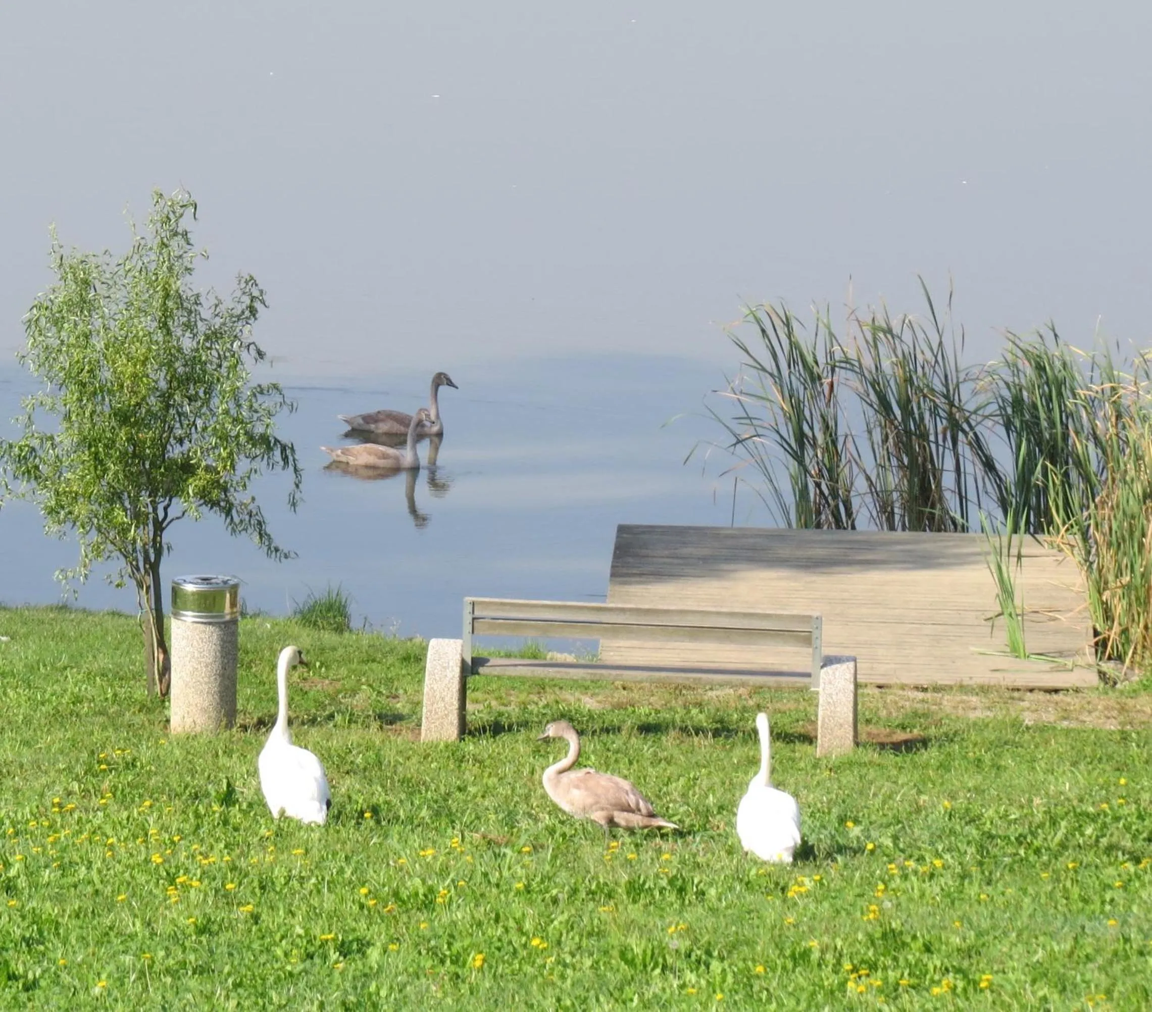 Day in Šiker B&B Hotel