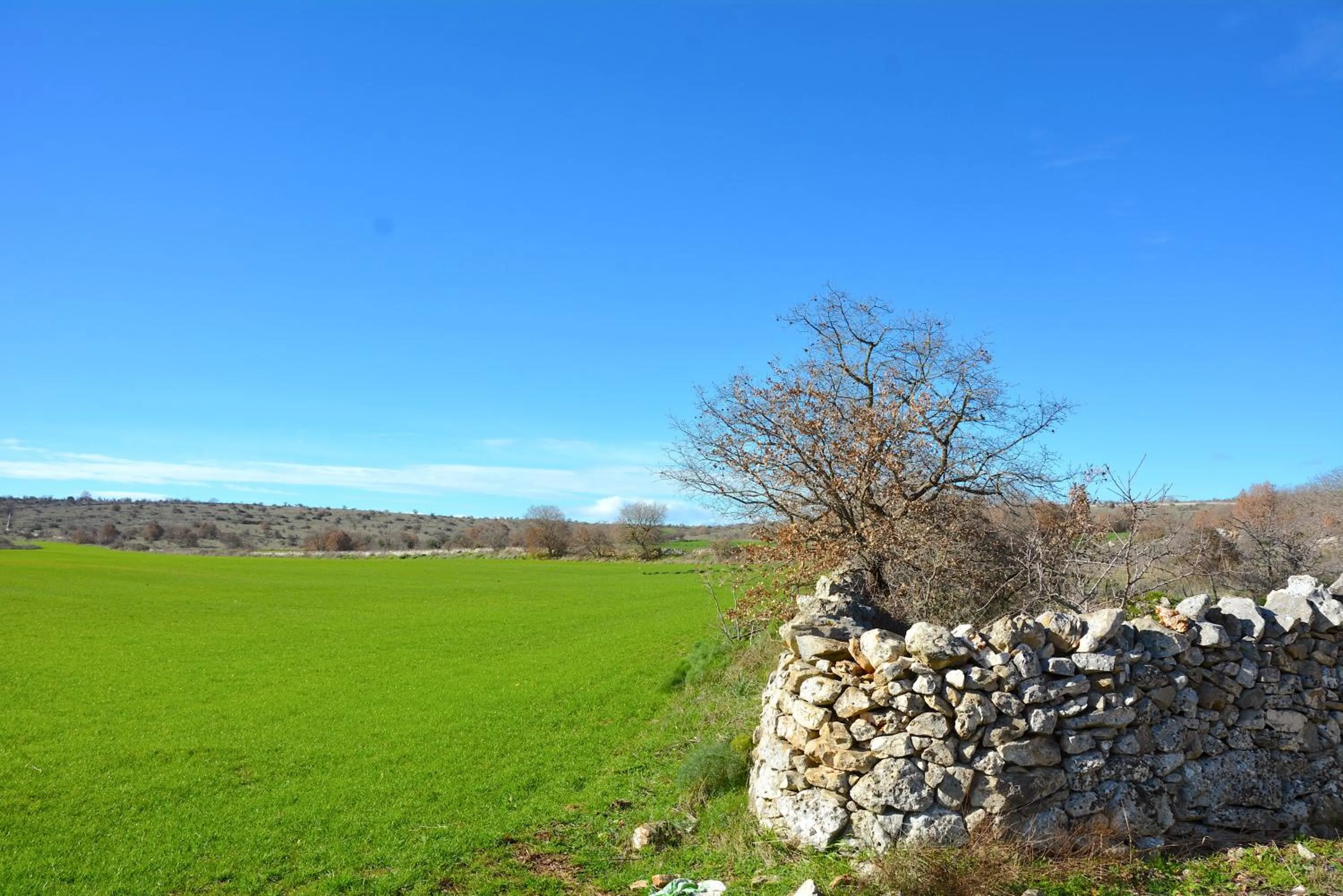 Spring in Vacanze Murgiane