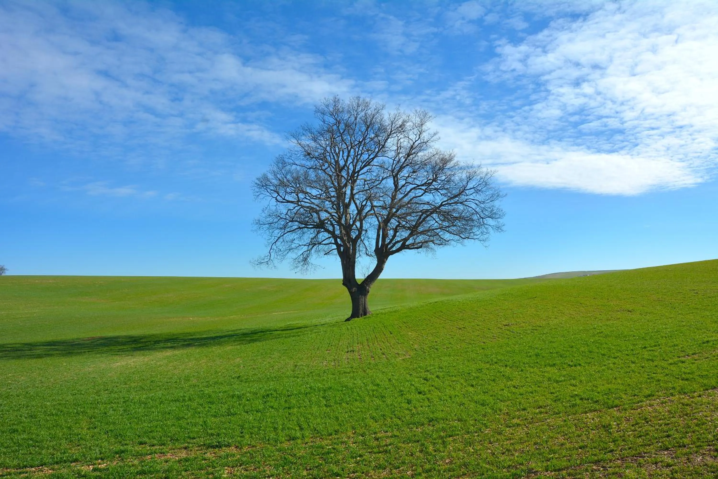 Natural landscape in Vacanze Murgiane