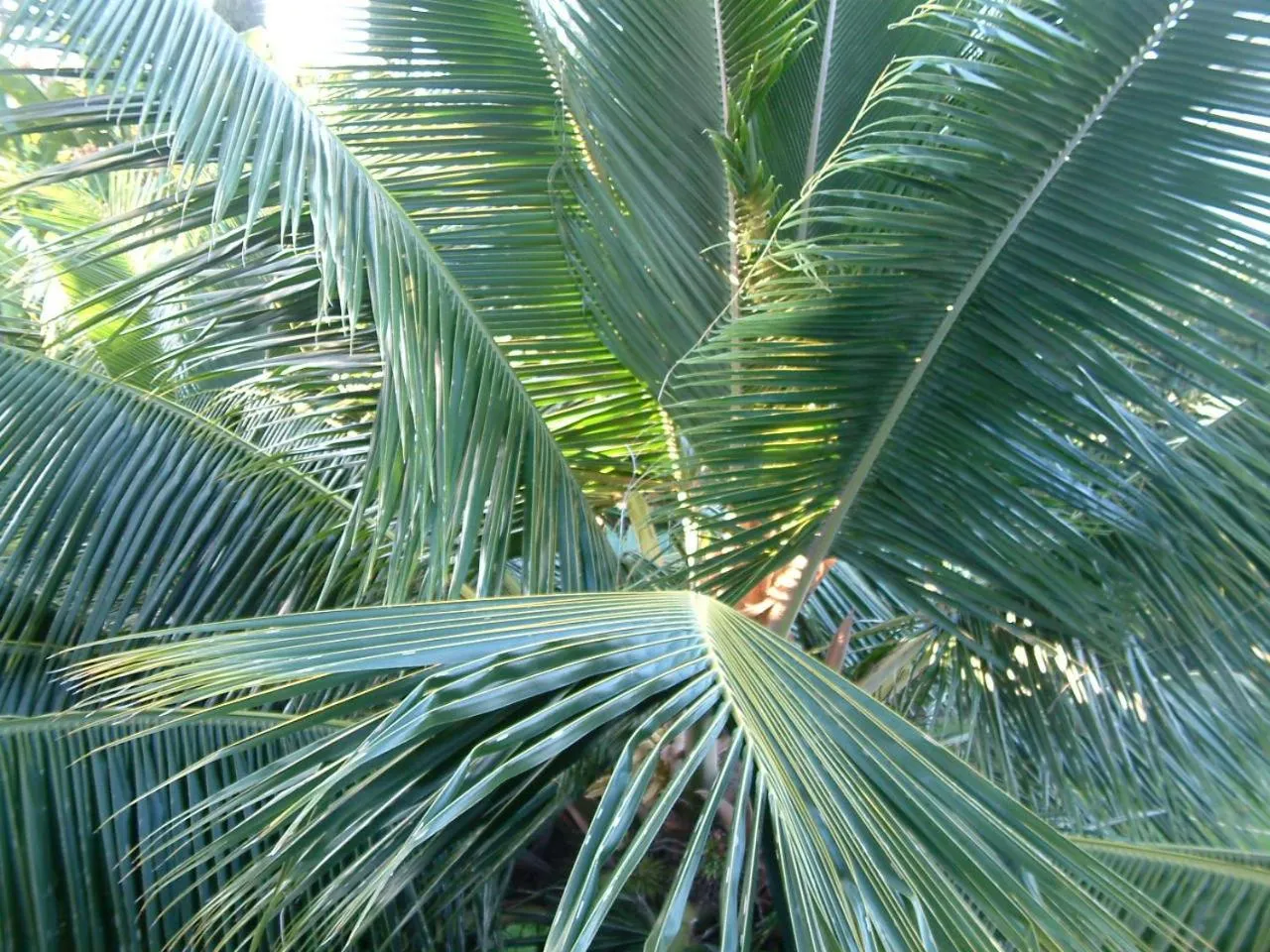 Property building in The Great Kona Escape