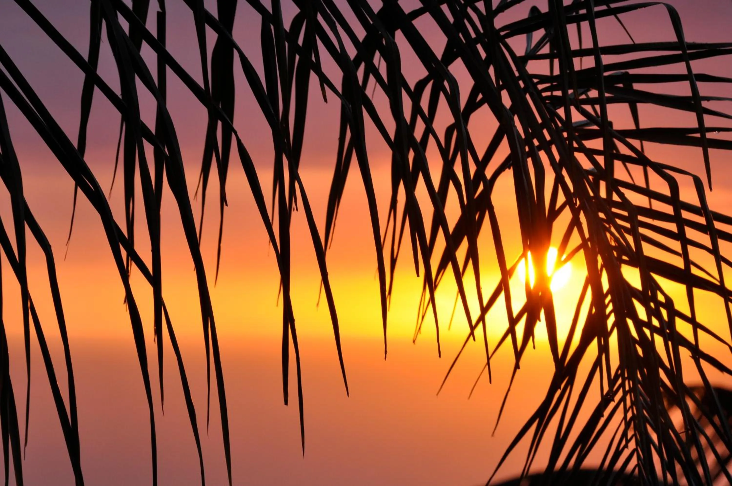 Sunset in The Great Kona Escape