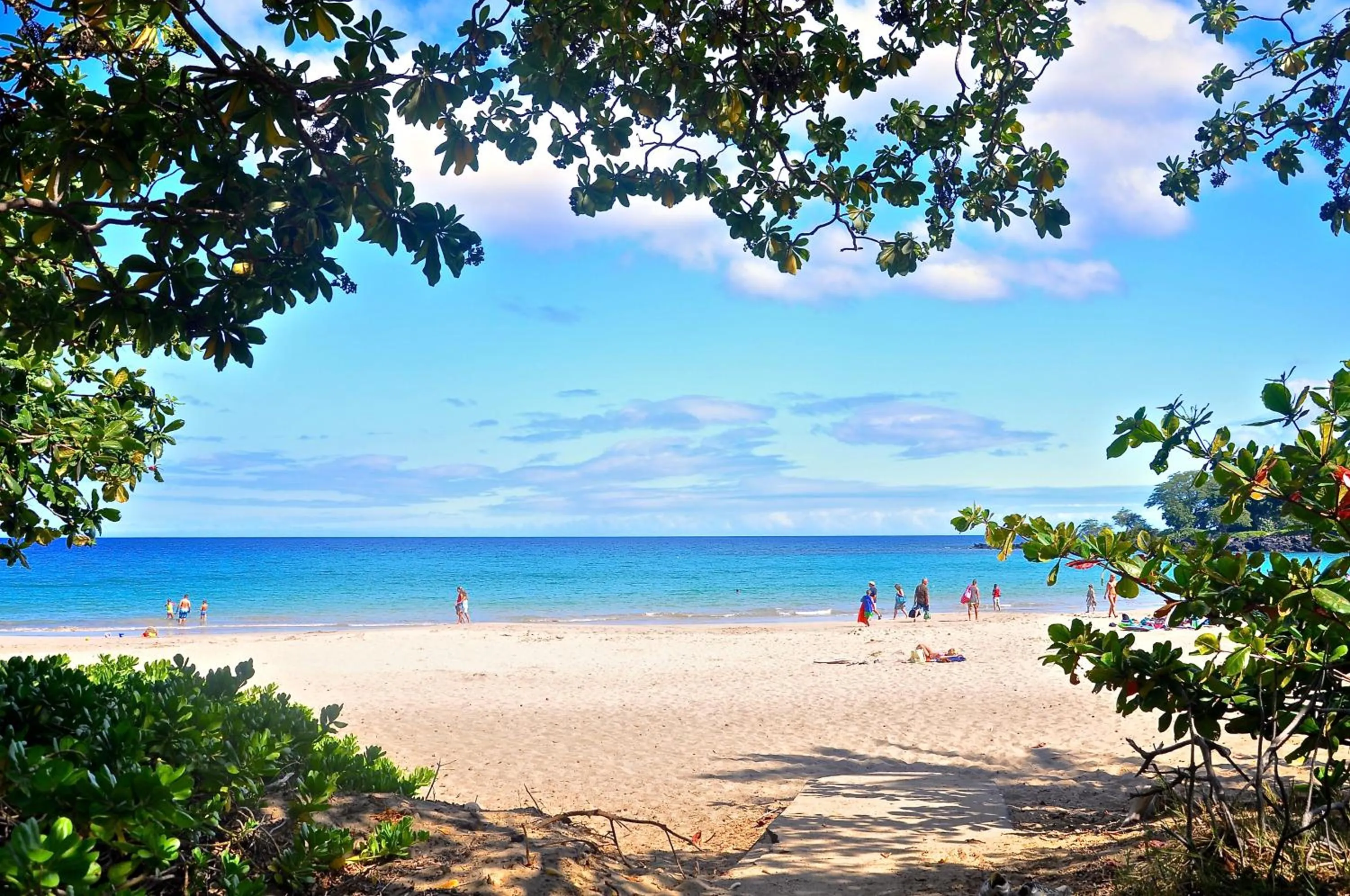 Activities in The Great Kona Escape