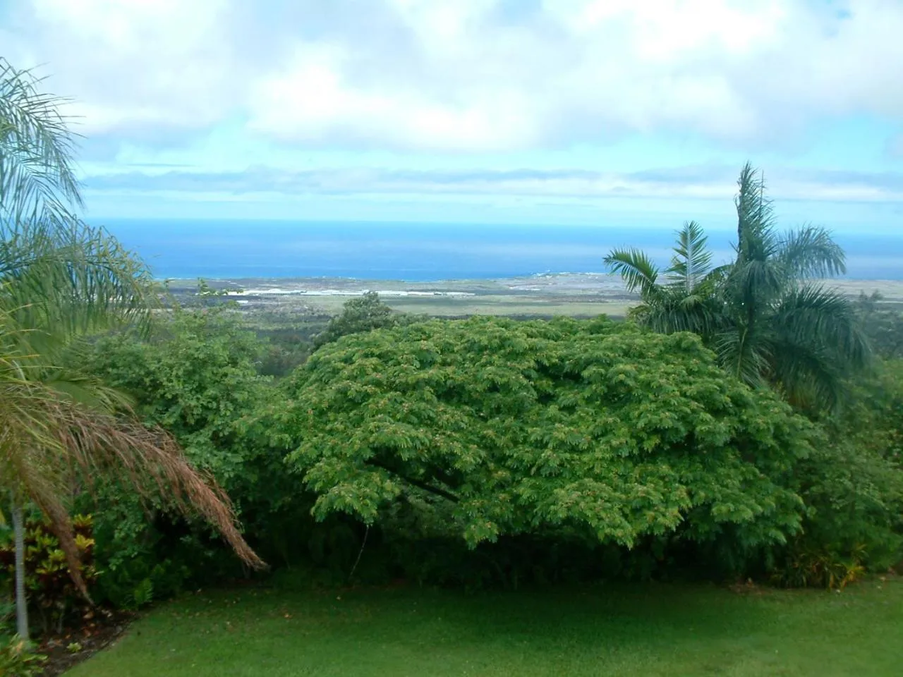 Property building in The Great Kona Escape