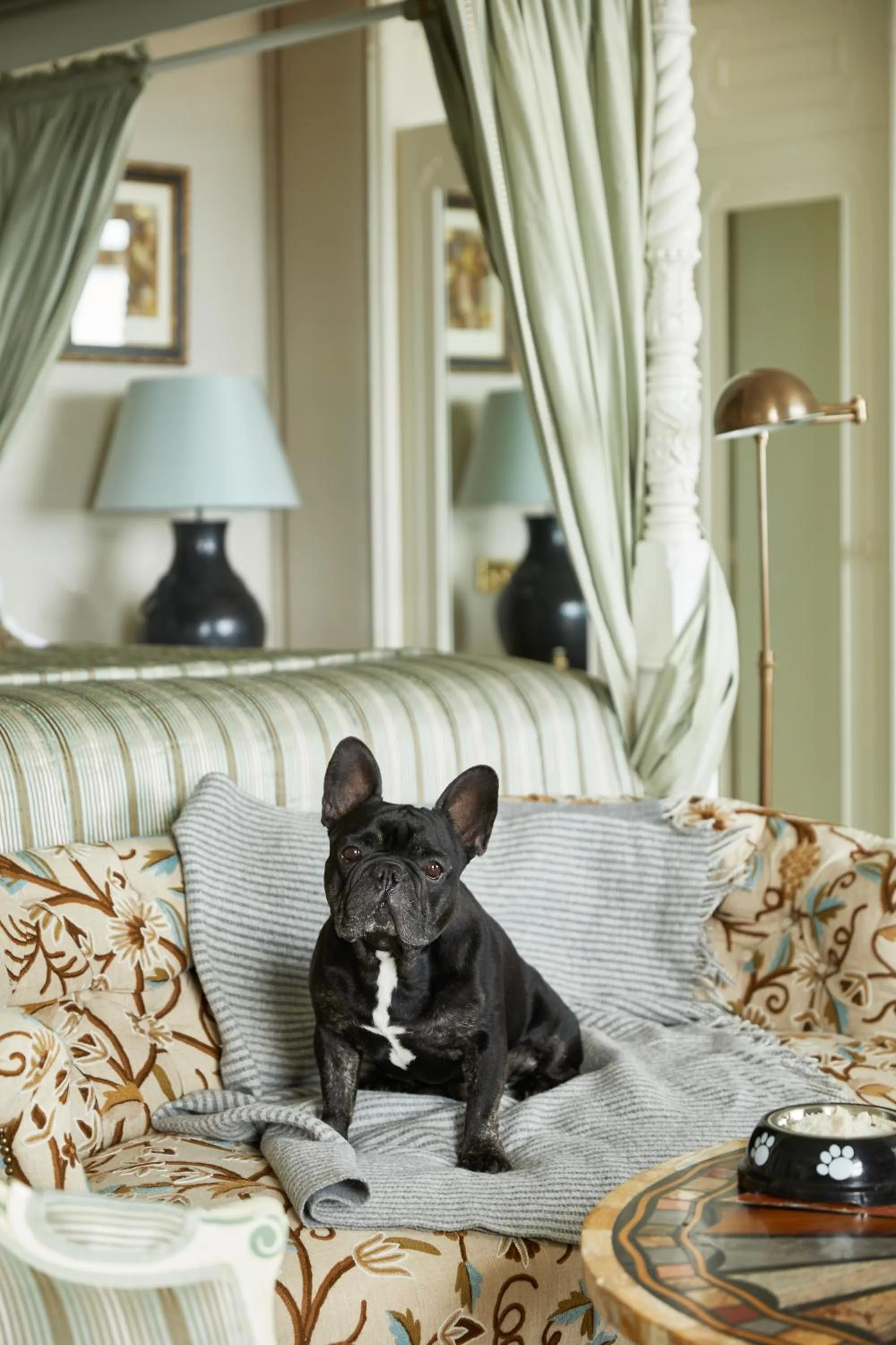 Pets in The Old Government House Hotel & Spa