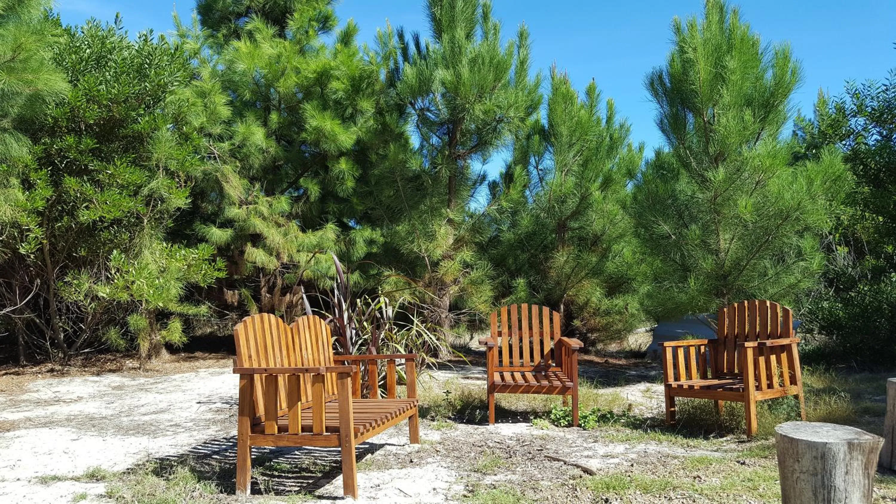 BBQ facilities in Resort 77