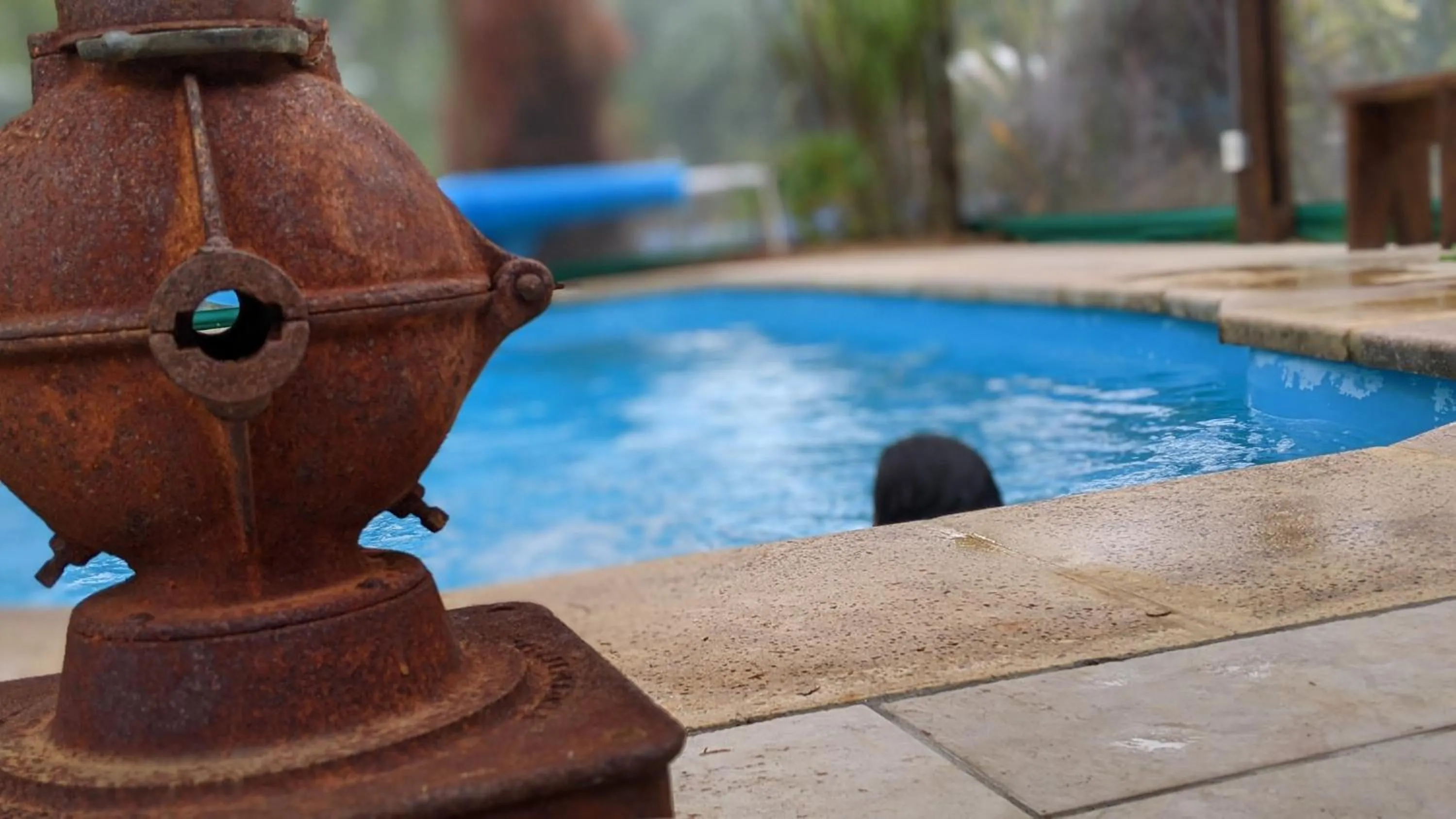 Swimming pool in Resort 77