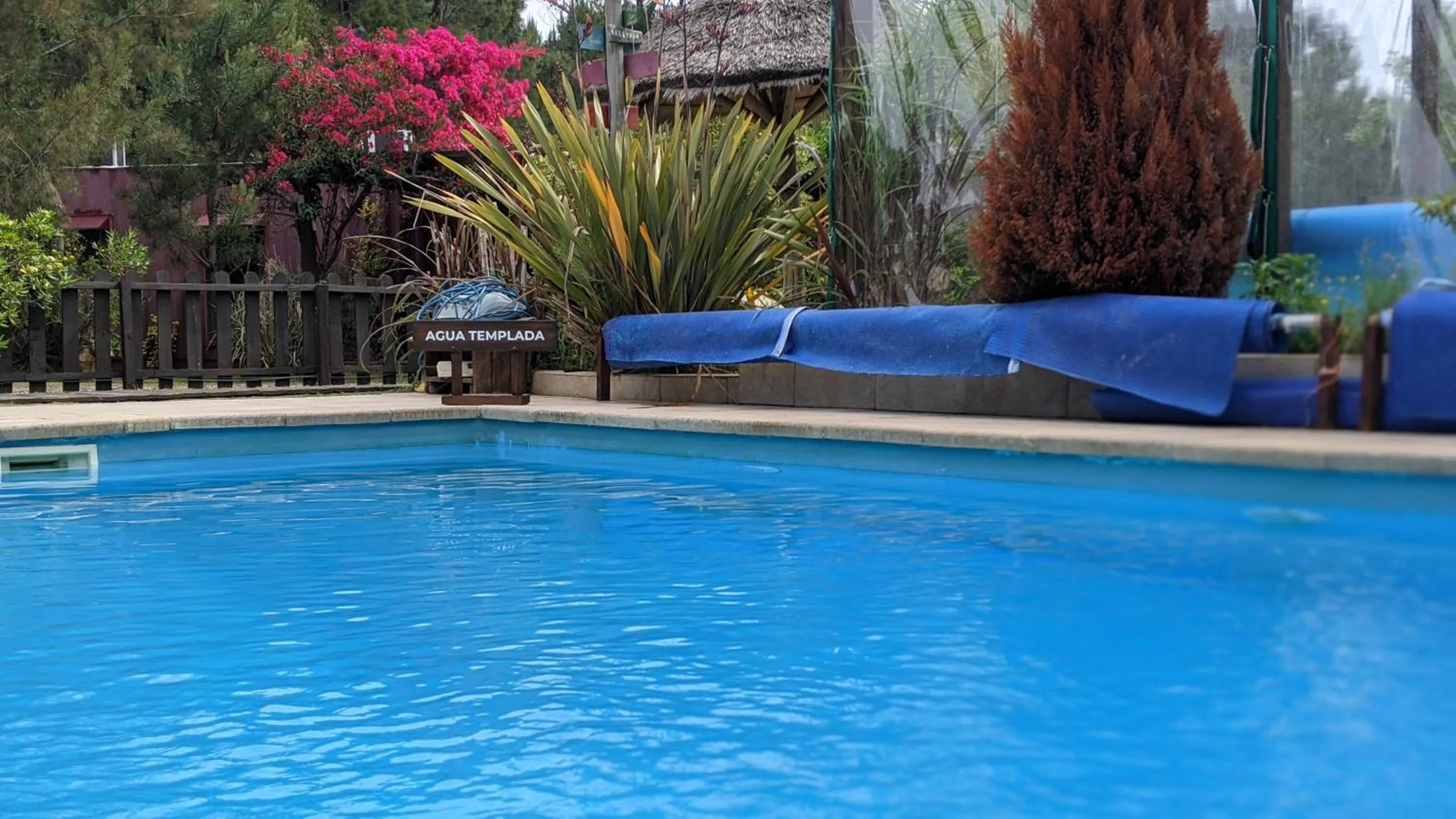 Swimming pool in Resort 77