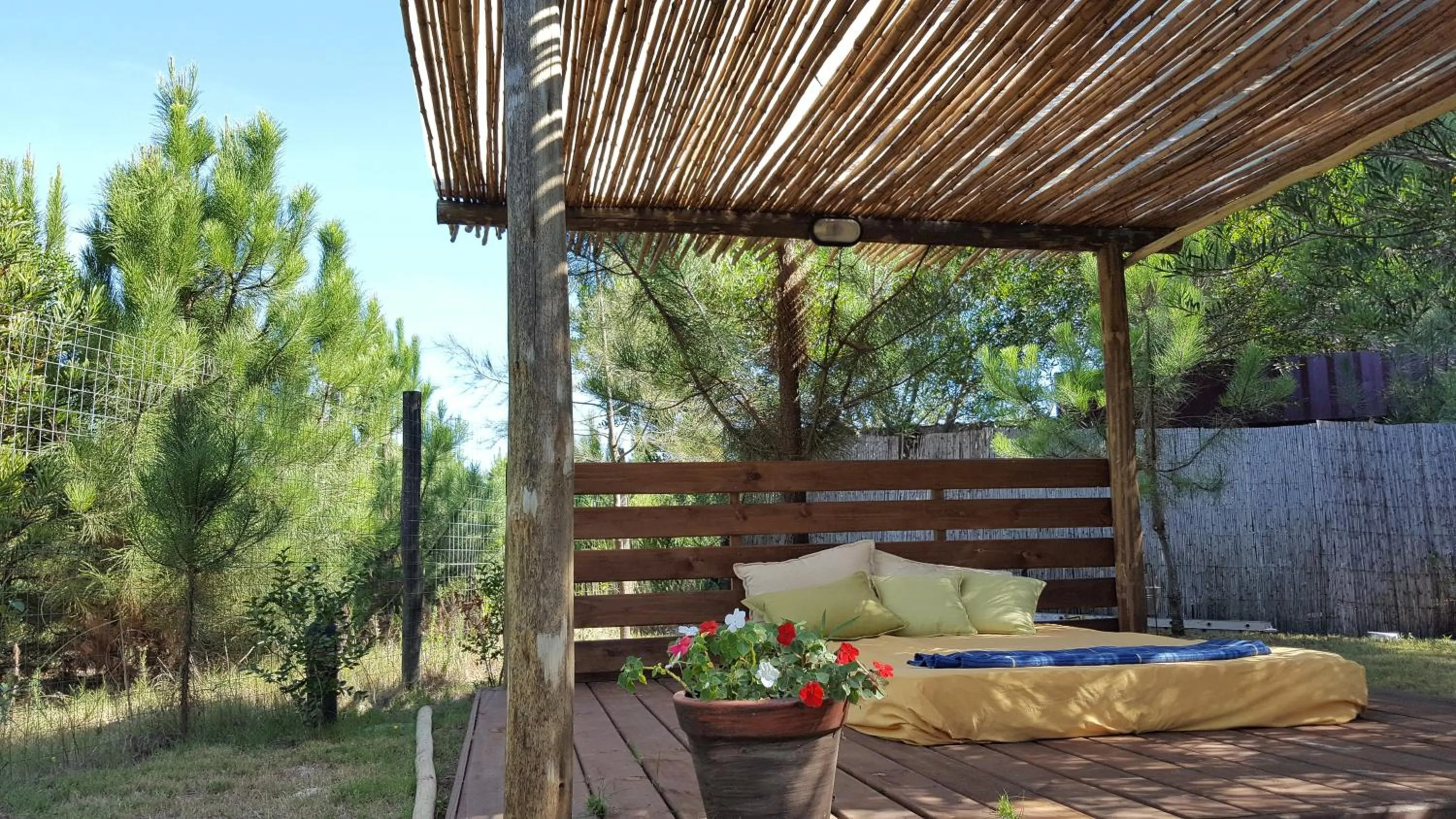 Garden in Resort 77