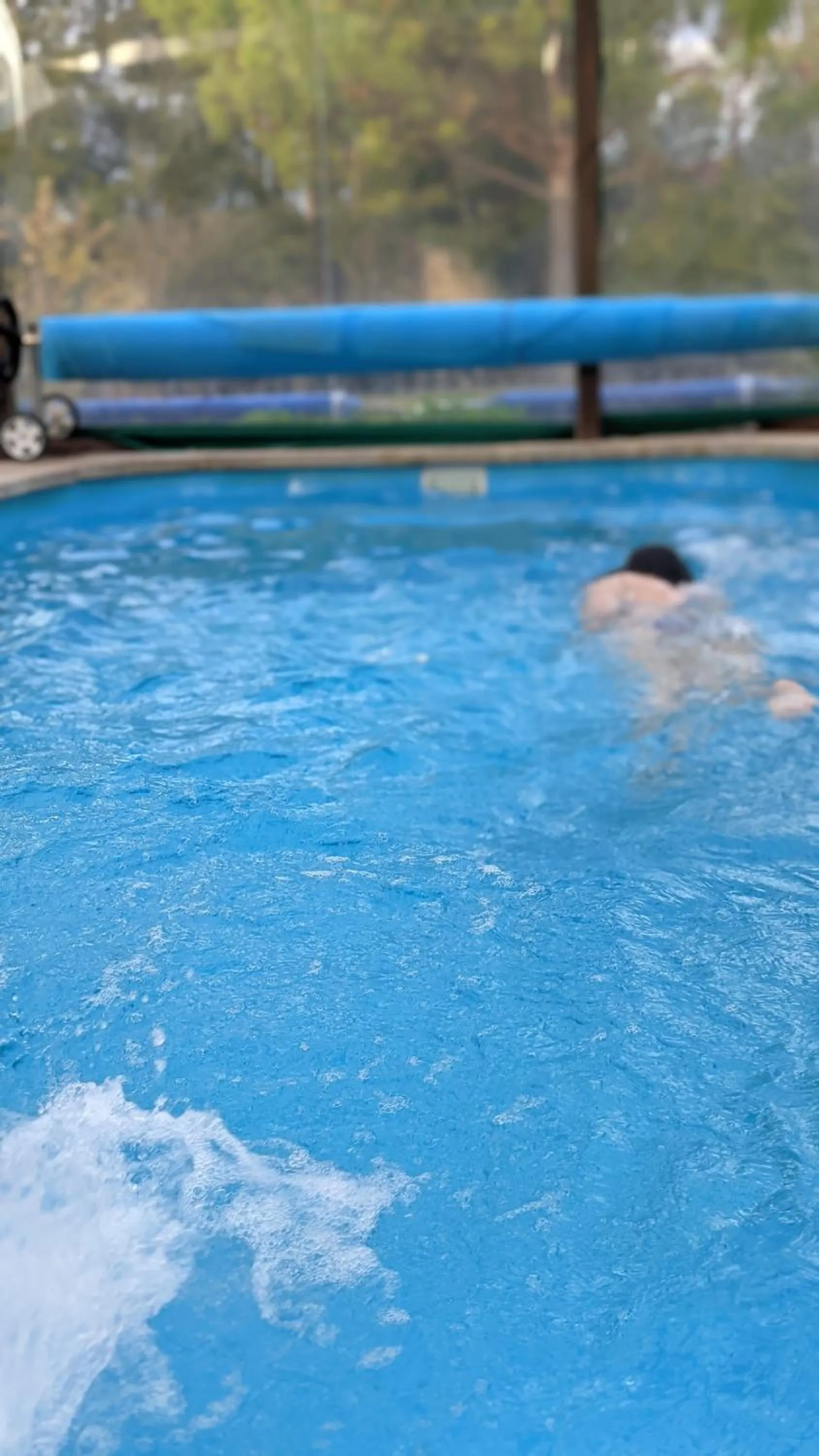 Swimming pool in Resort 77