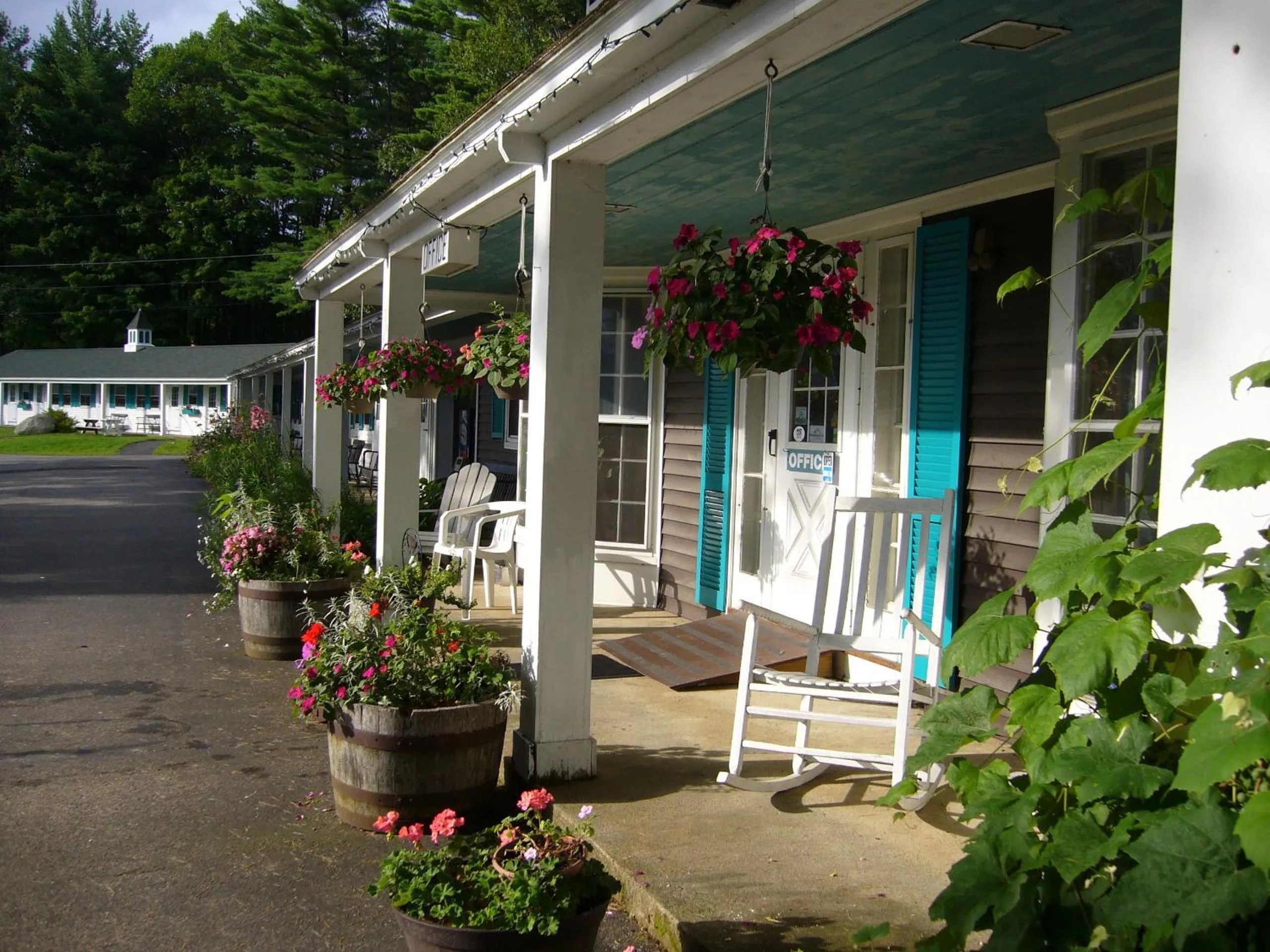 Patio in White Trellis Motel