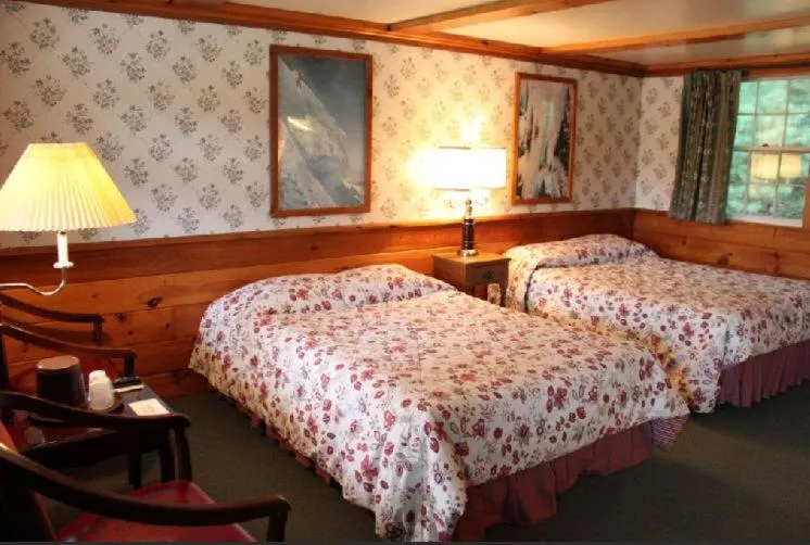 Photo of the whole room in White Trellis Motel