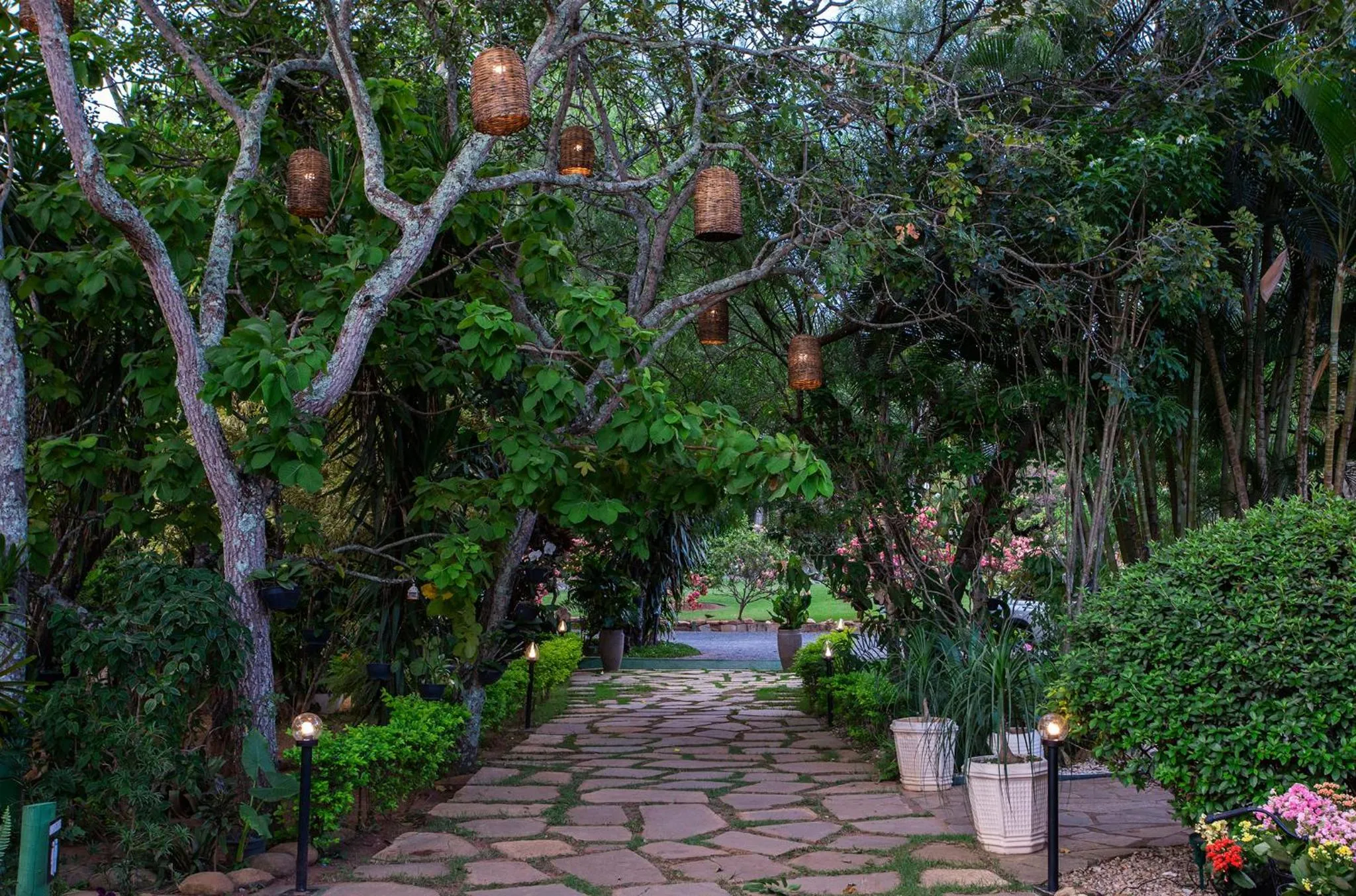 Garden in Pousada Cavaleiro dos Pireneus