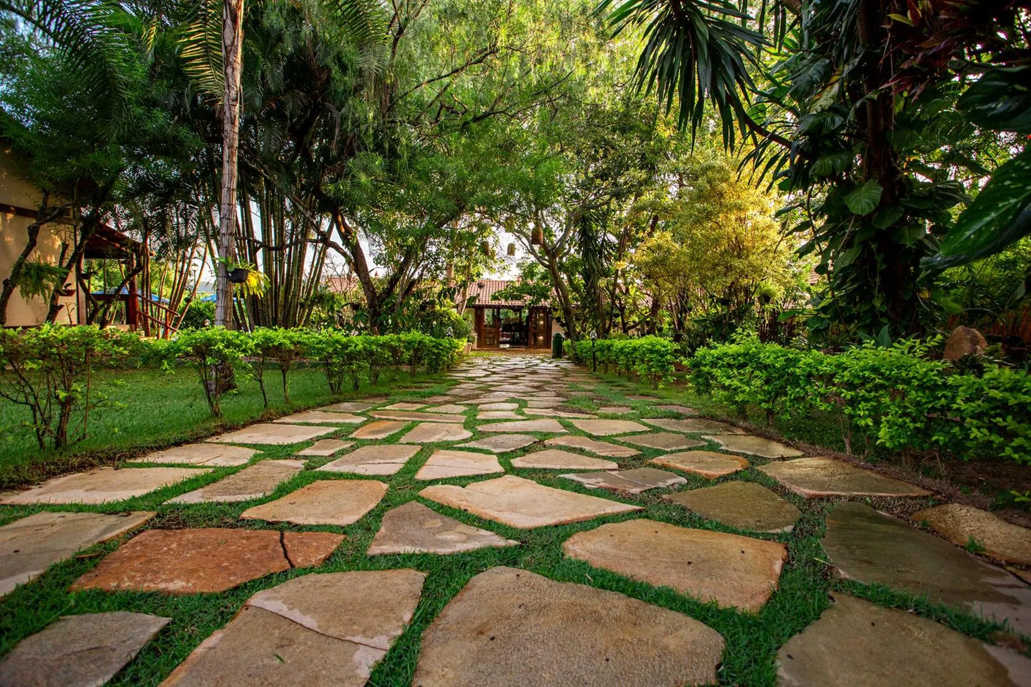 Garden in Pousada Cavaleiro dos Pireneus