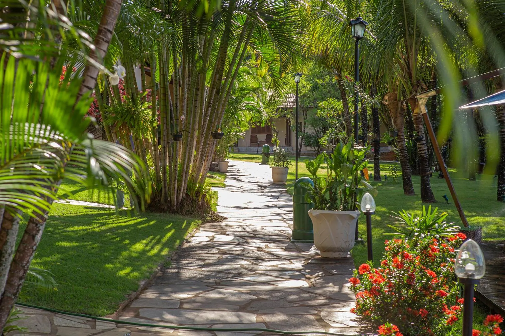 Garden in Pousada Cavaleiro dos Pireneus