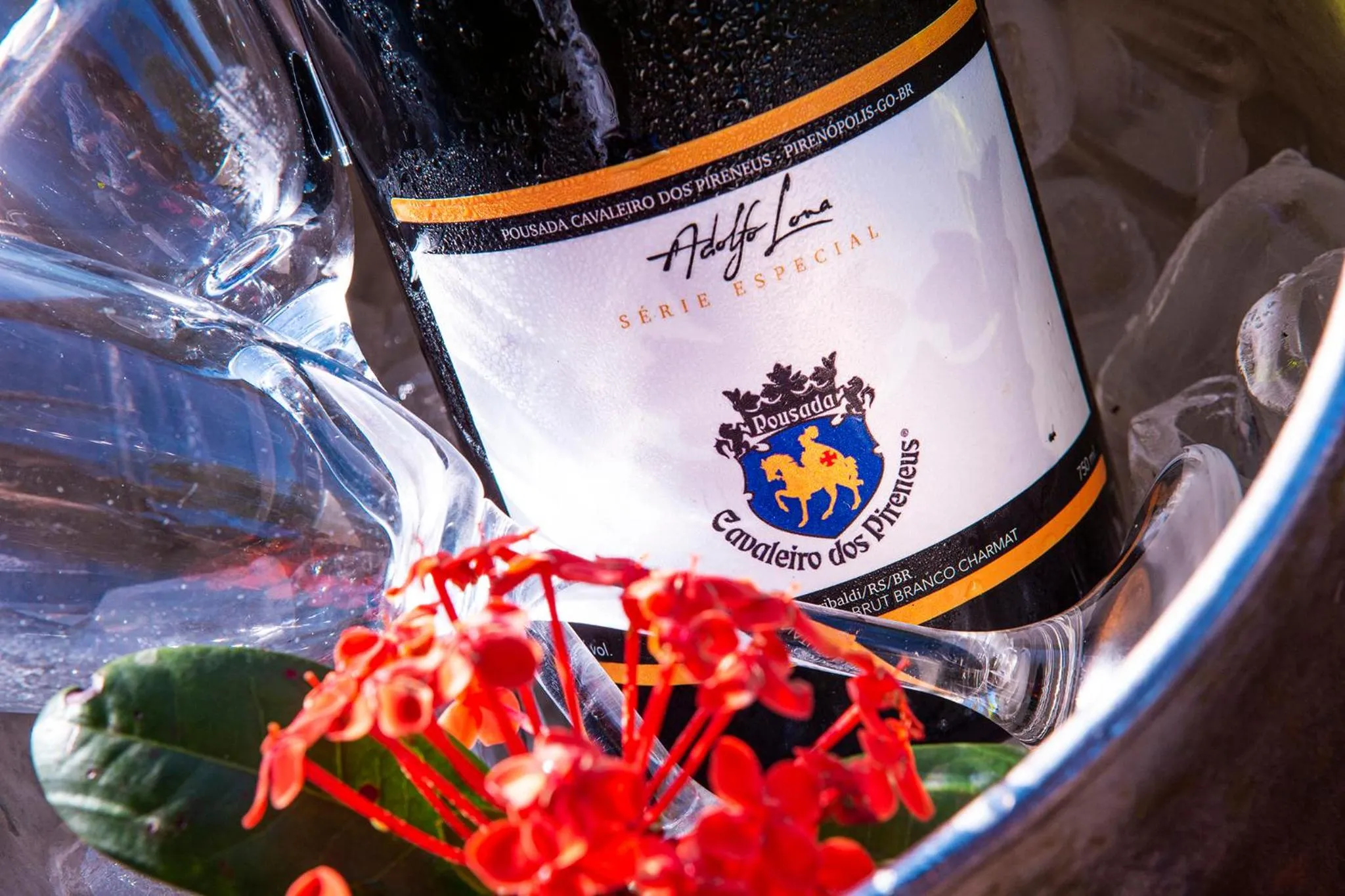Alcoholic drinks in Pousada Cavaleiro dos Pireneus
