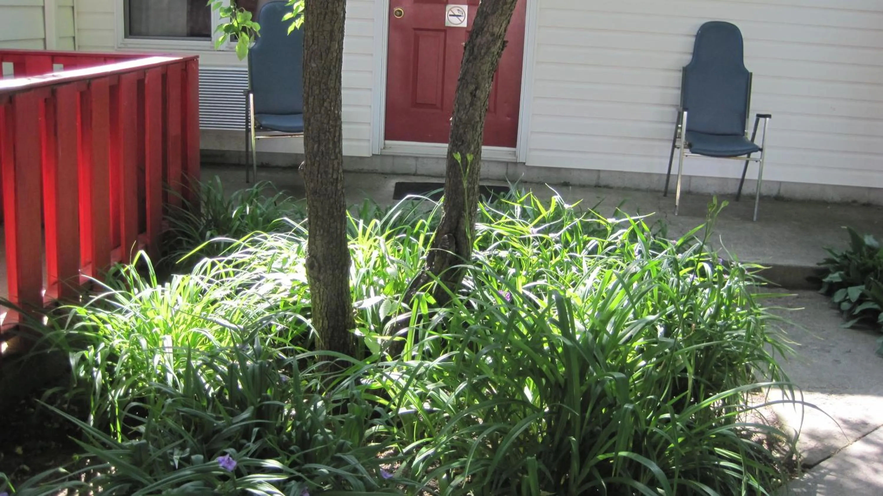 Garden in Rosecourt Motel