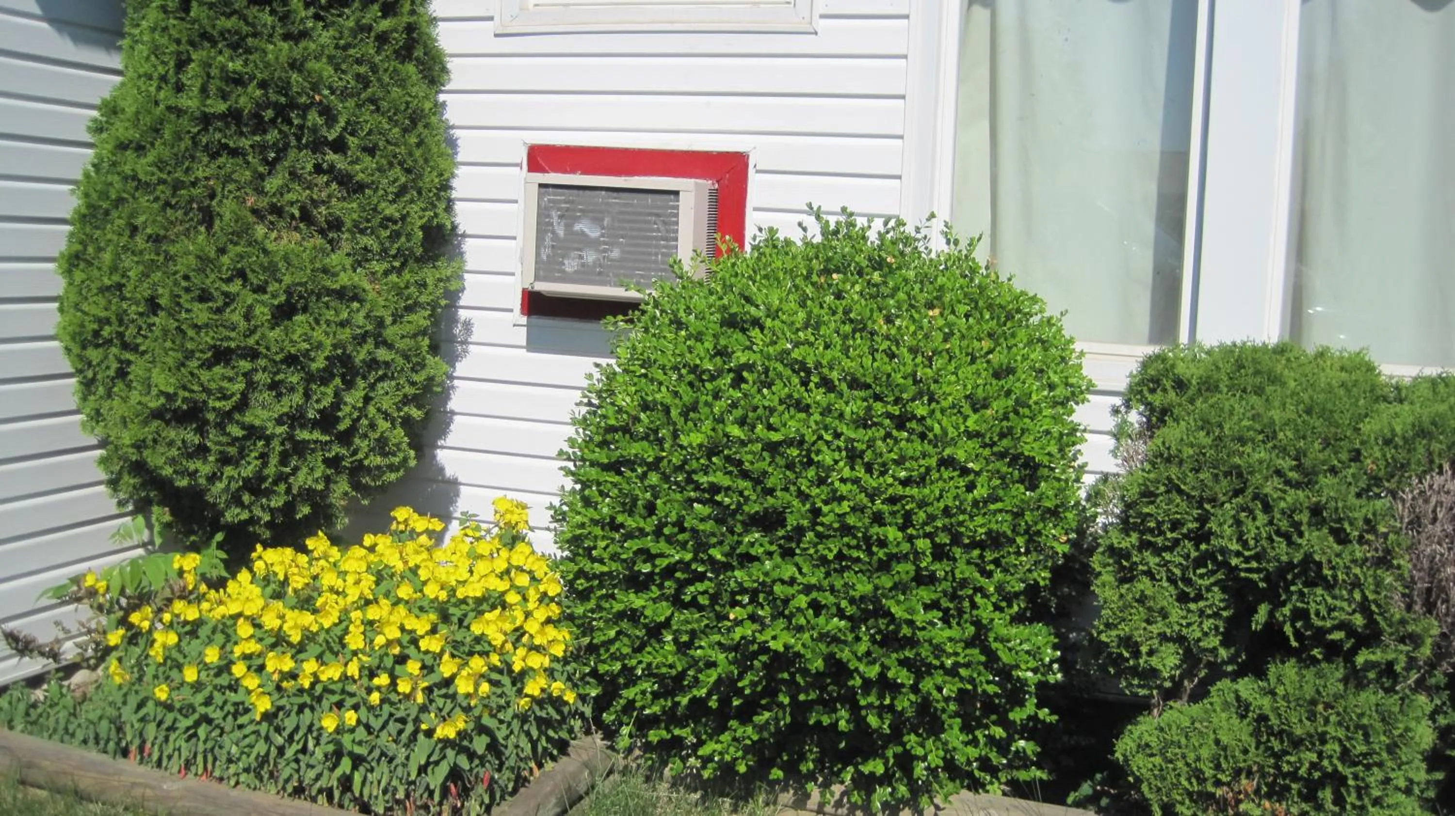 Garden in Rosecourt Motel