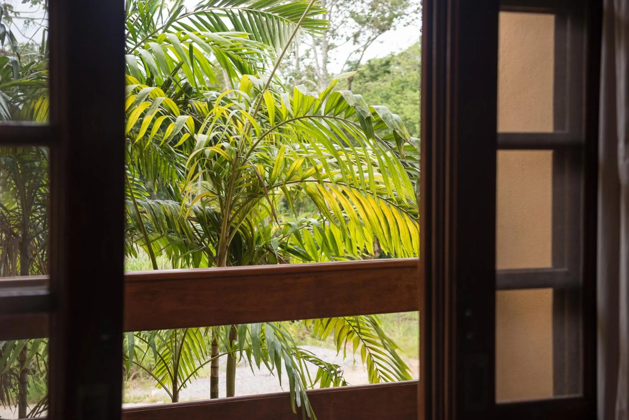 Garden view in Pousada Ilhote da Prainha