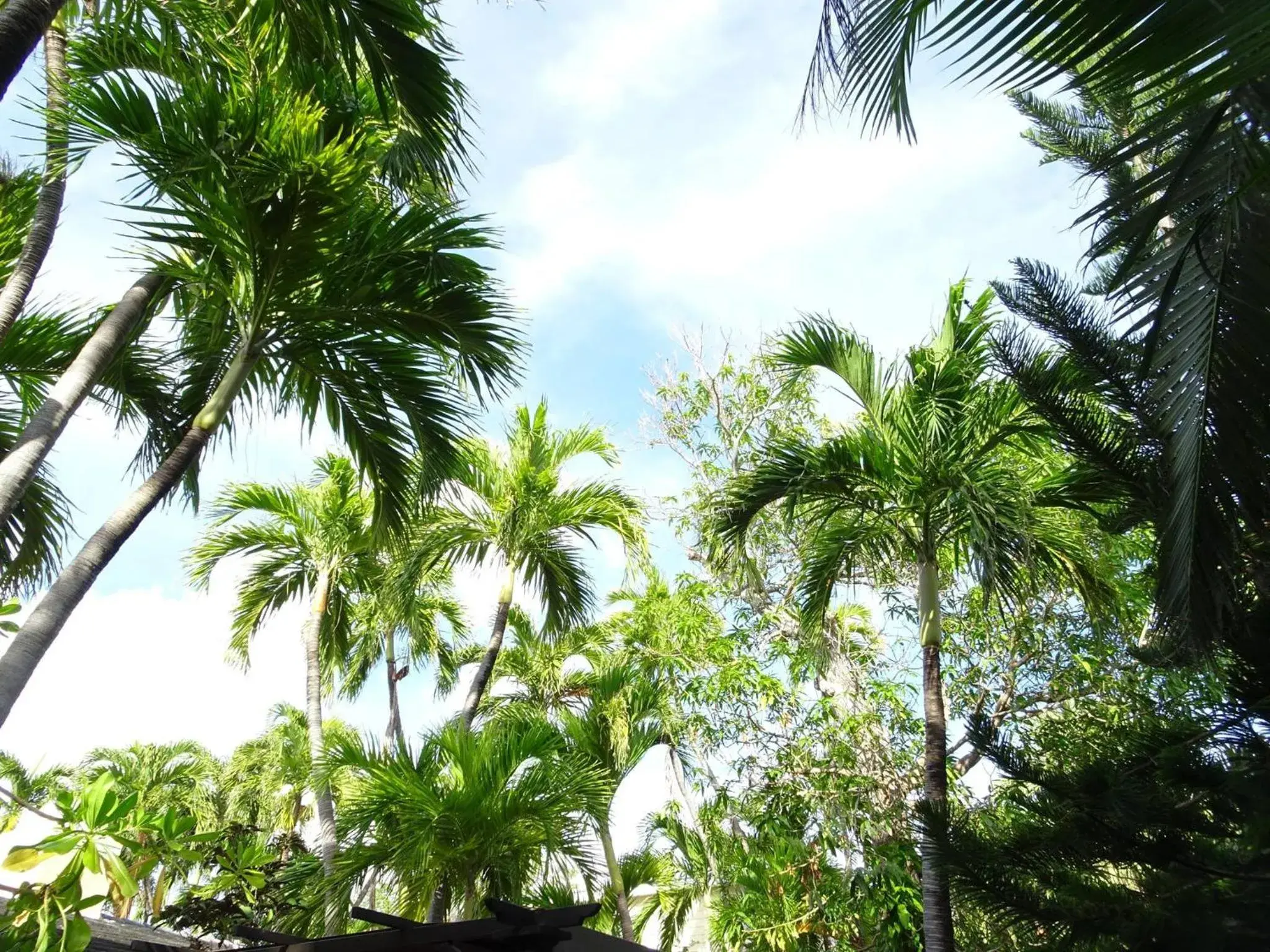 View (from property/room) in Suite Dreams Inn by the Beach View (from property/room) in Suite Dreams Inn by the Beach