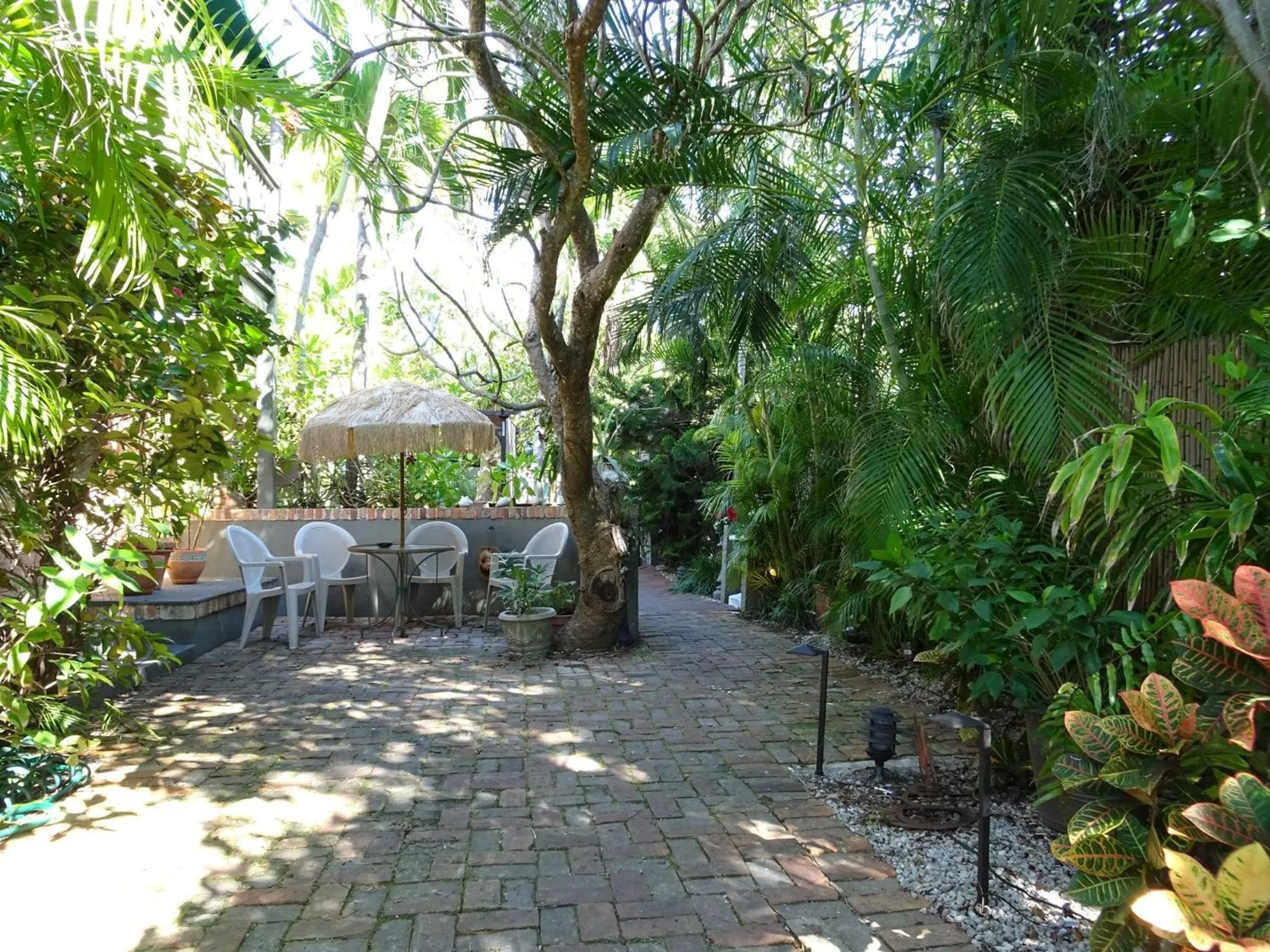 Garden in Suite Dreams Inn by the Beach