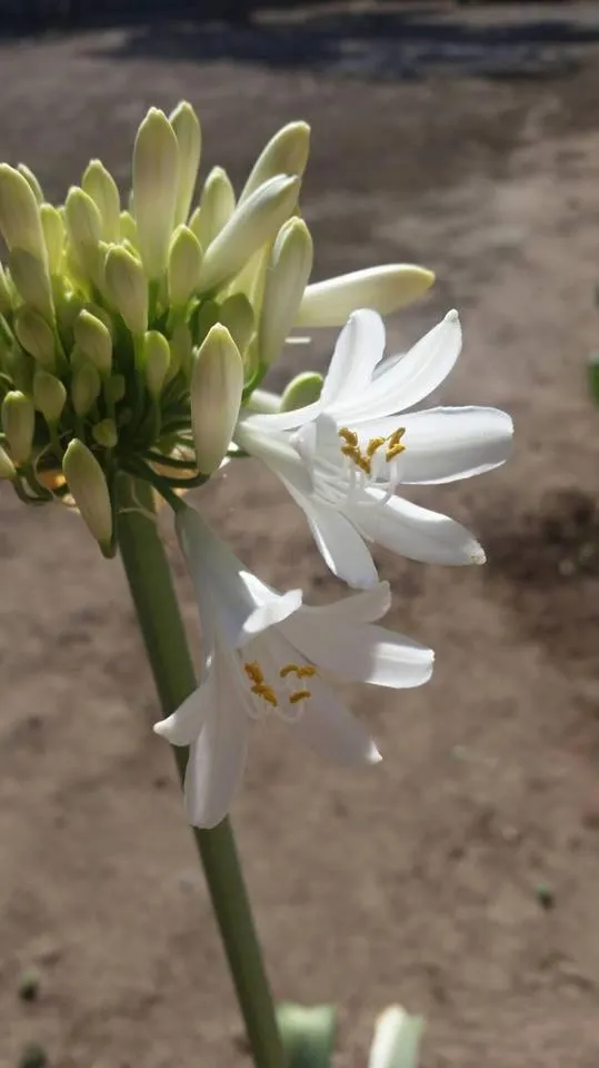 Day in Meson La Huerta