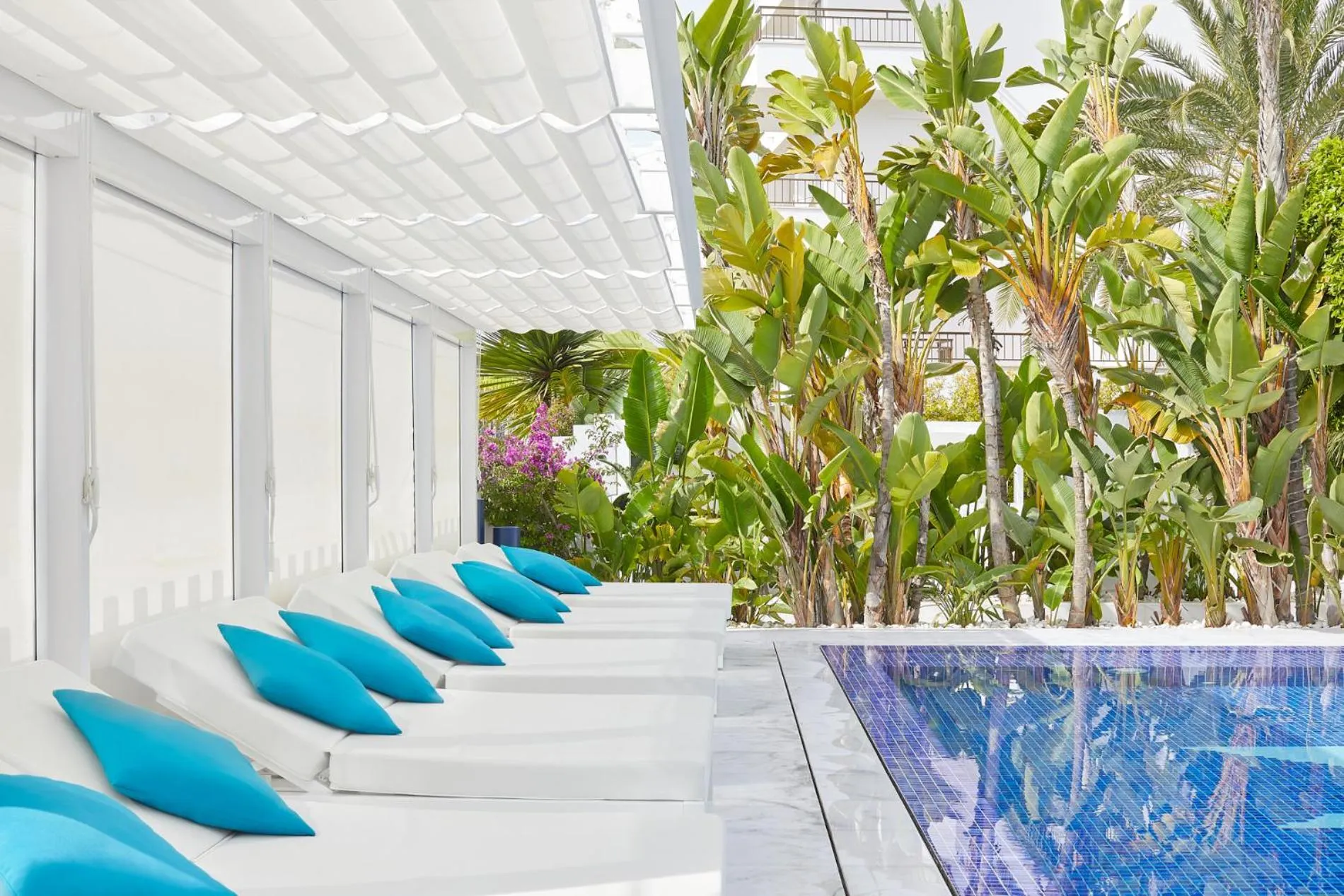 Swimming pool in Hotel MiM Ibiza & Spa - Adults Only