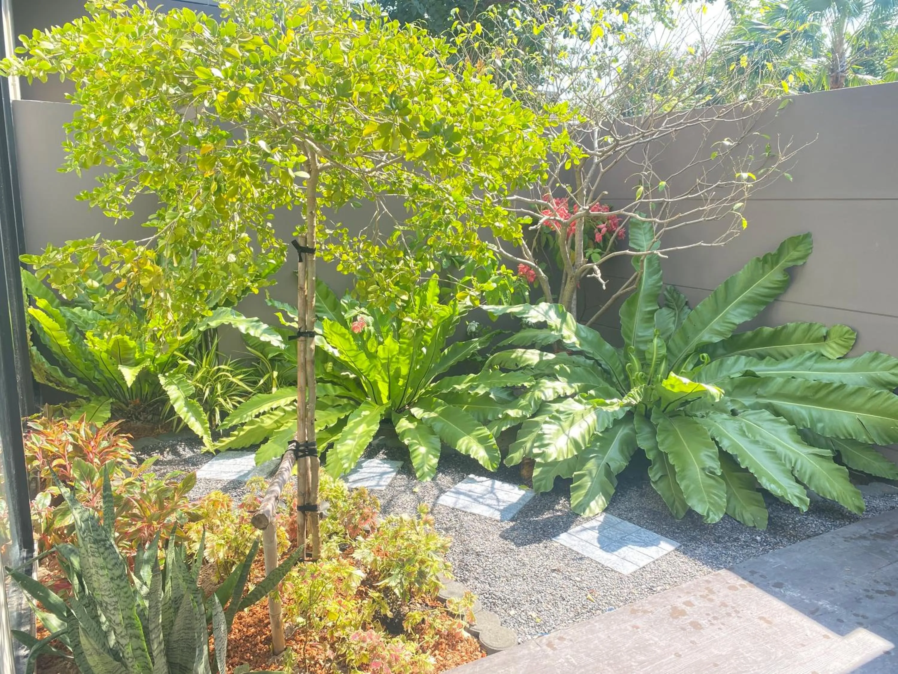 Triple Tree Beach Resort