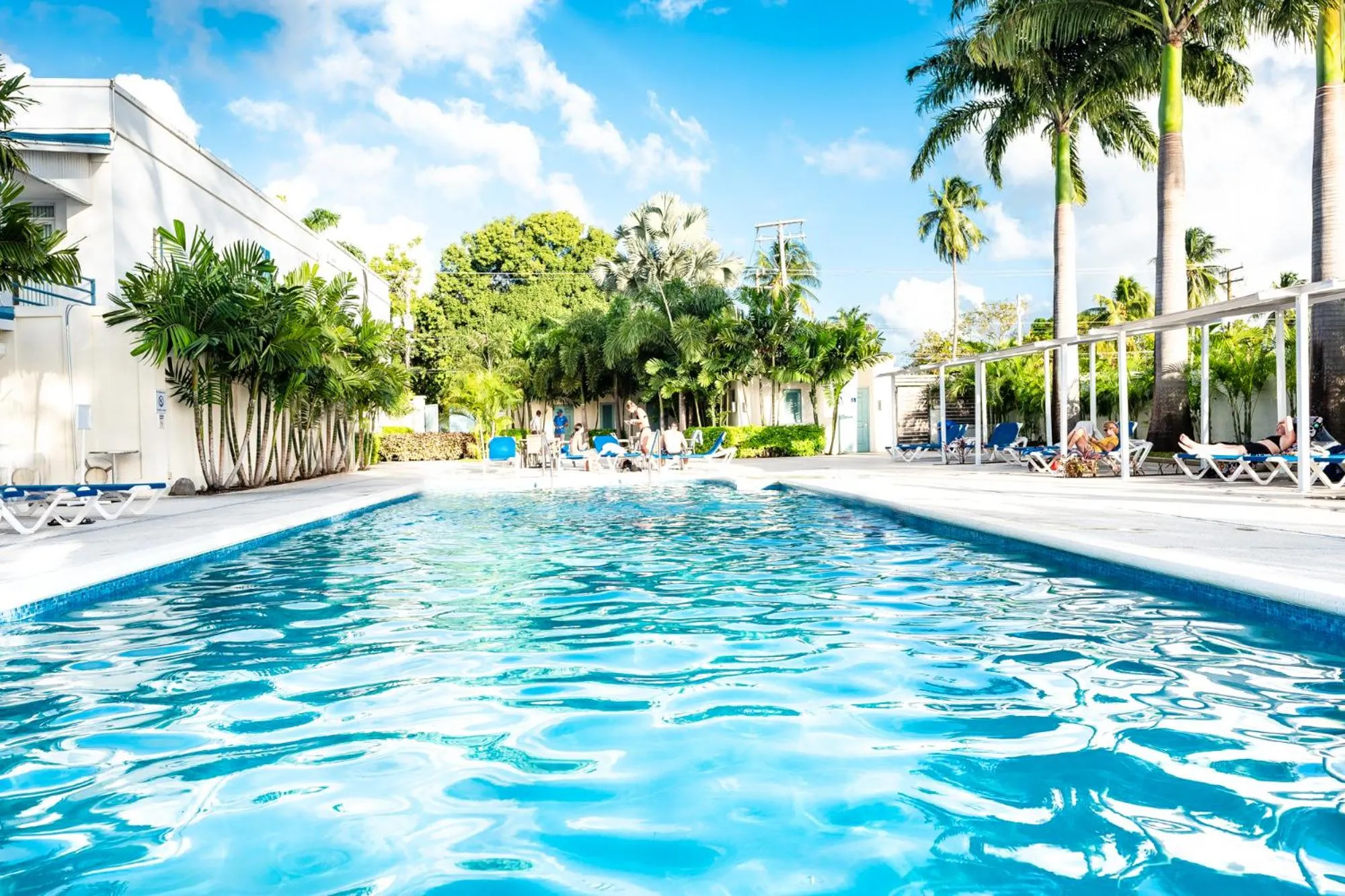 Swimming pool in The Palms Resort