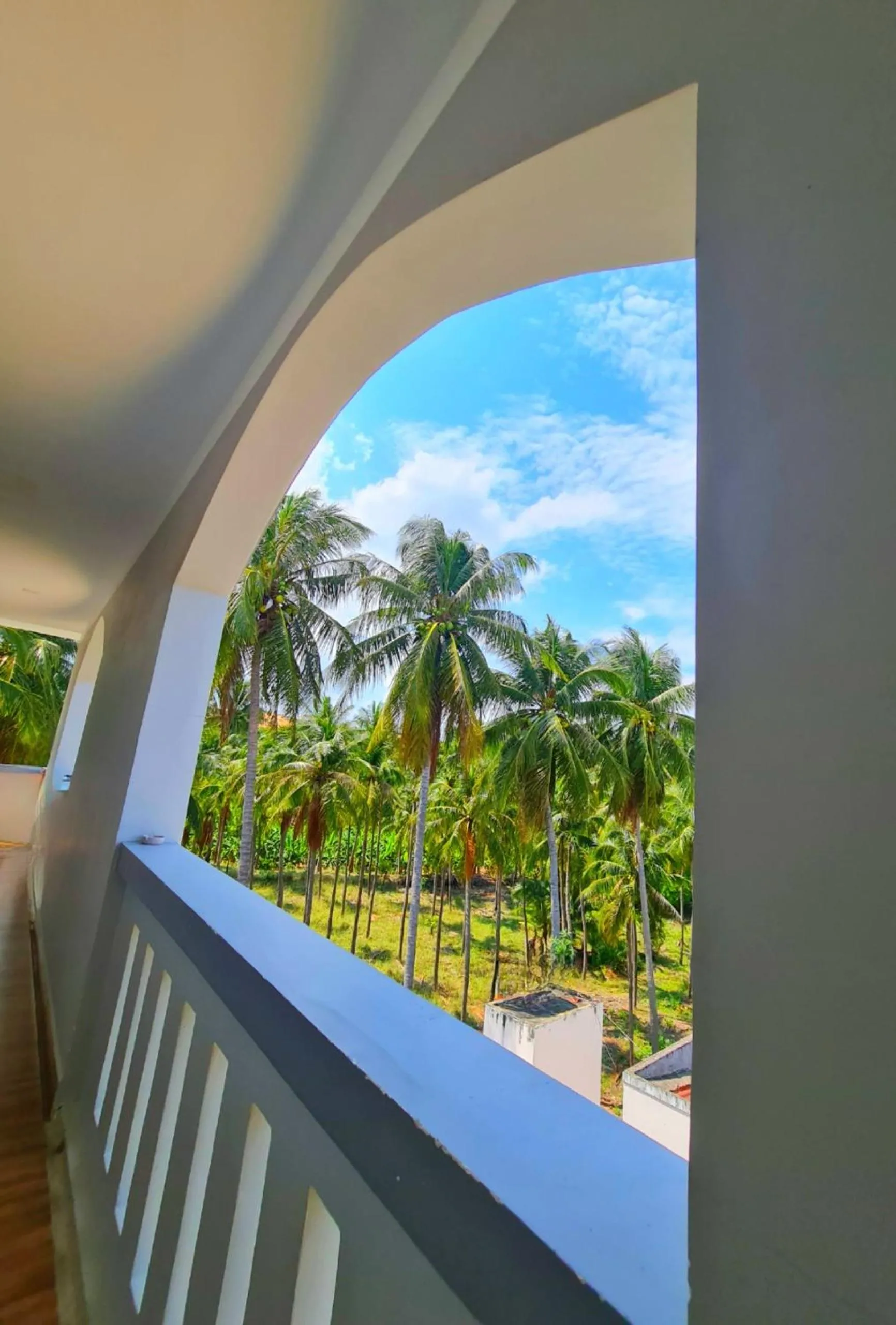 Garden view in Blue Moon Hotel Mui Ne