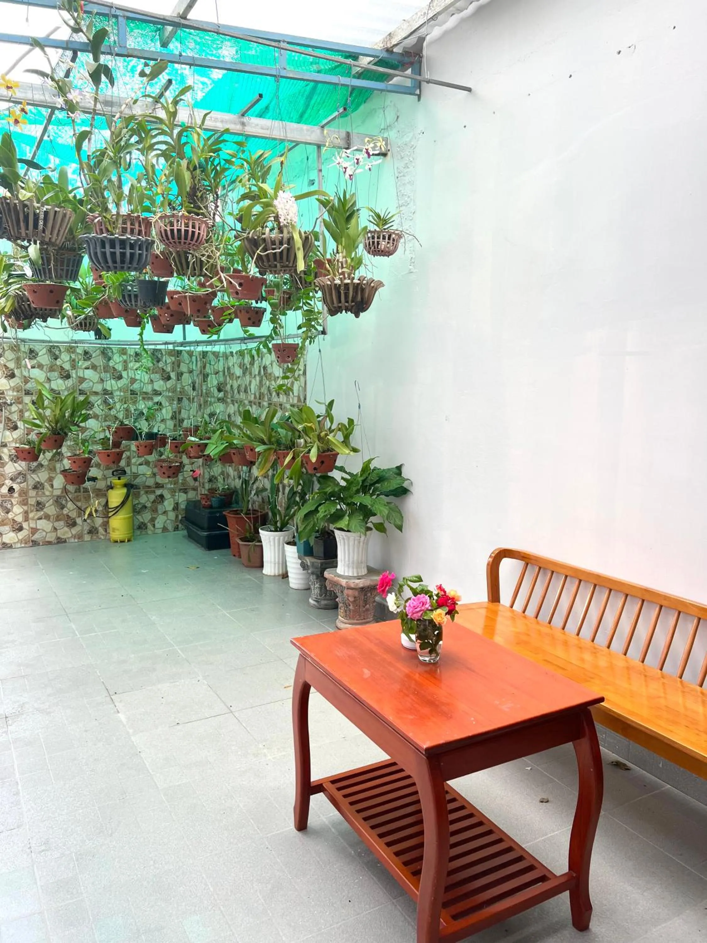 Blue Moon Hotel Mui Ne