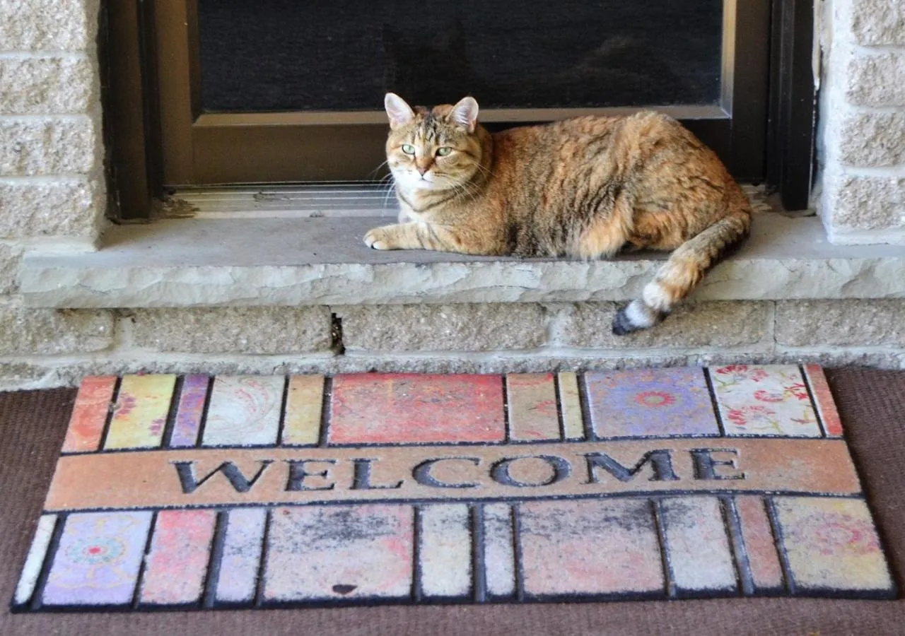 Staff in Stratford Suburban Motel