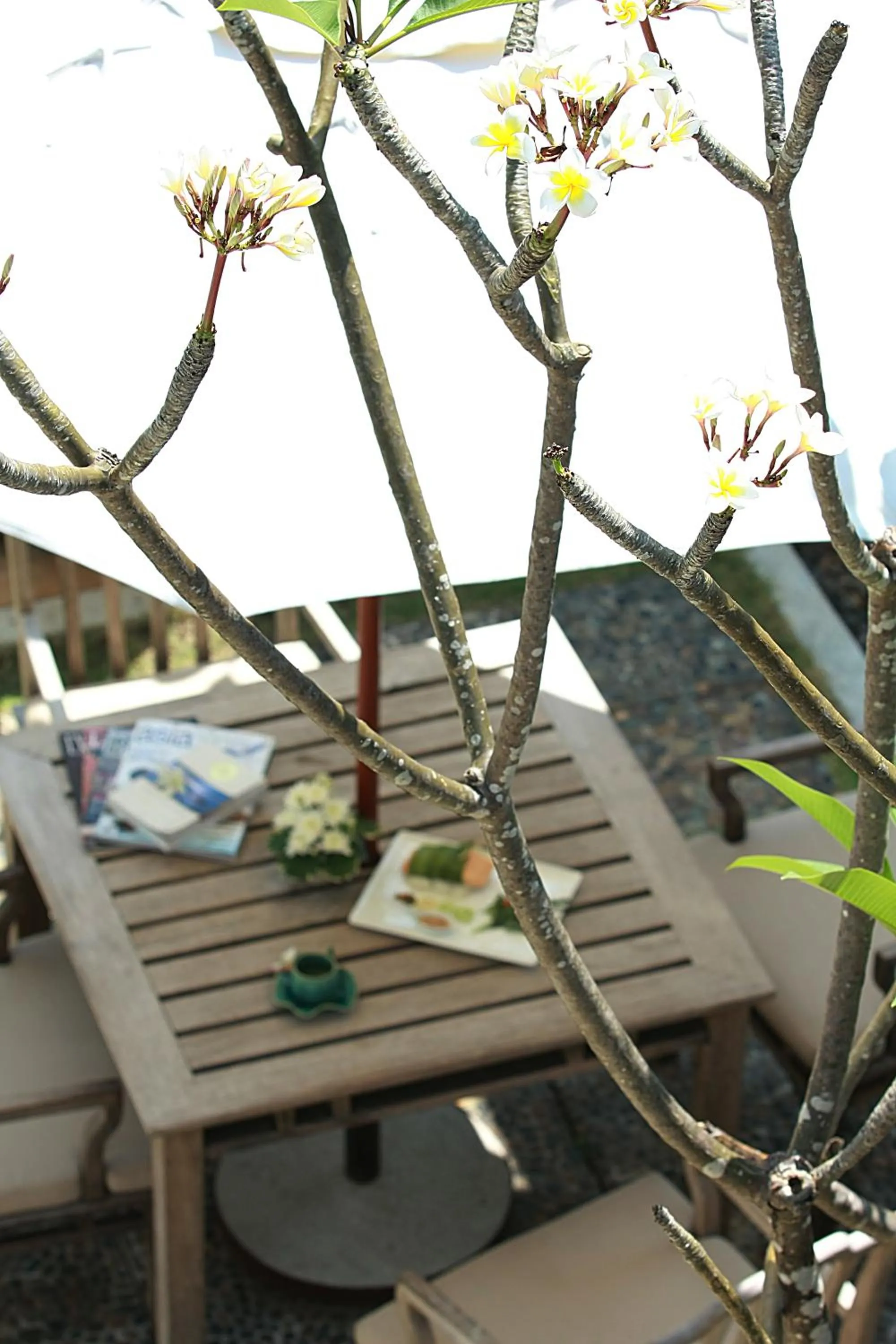 Garden in Nakamanda Resort and Spa
