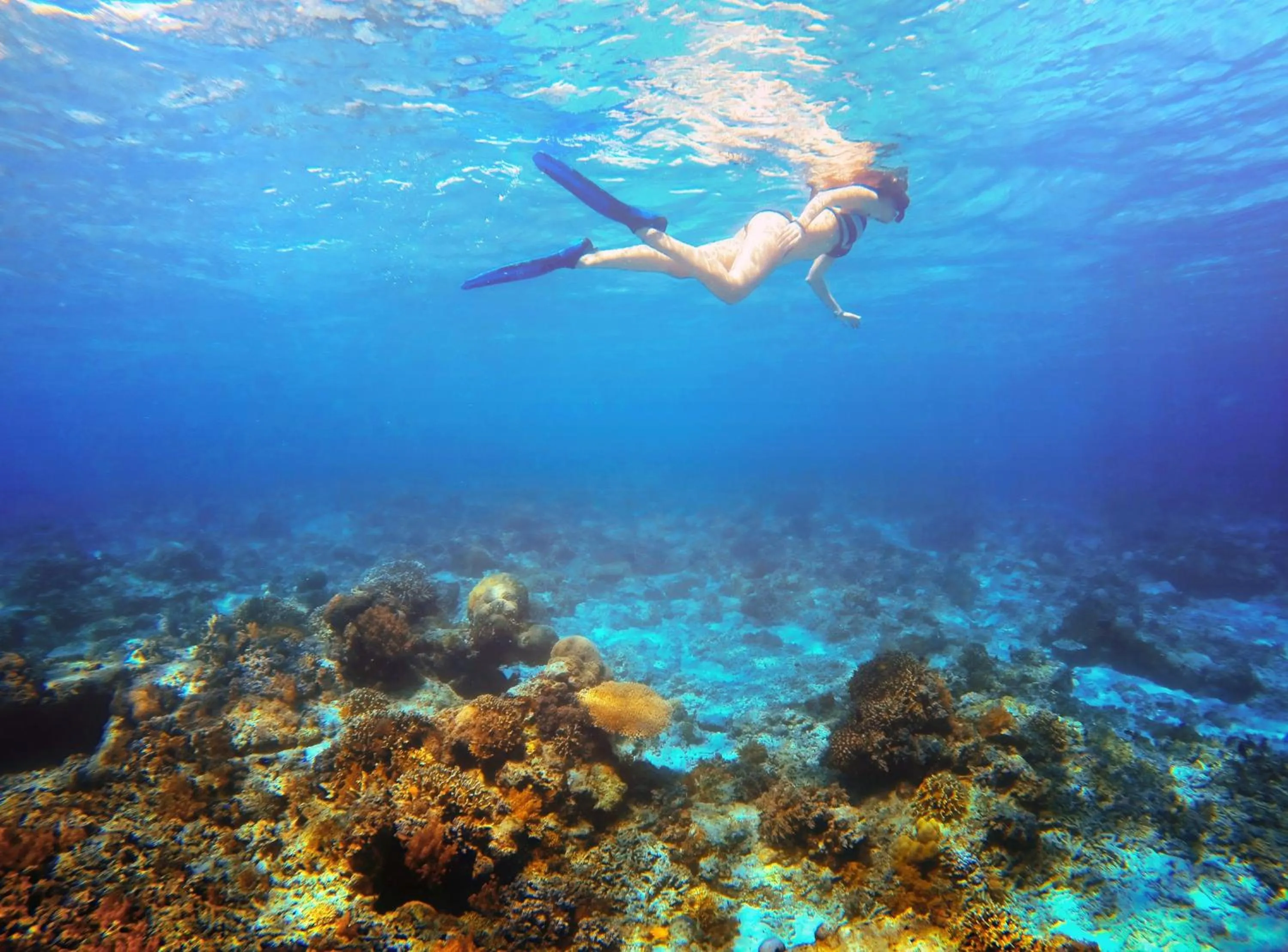 Snorkeling in Aston Sunset Beach Resort - Gili Trawangan