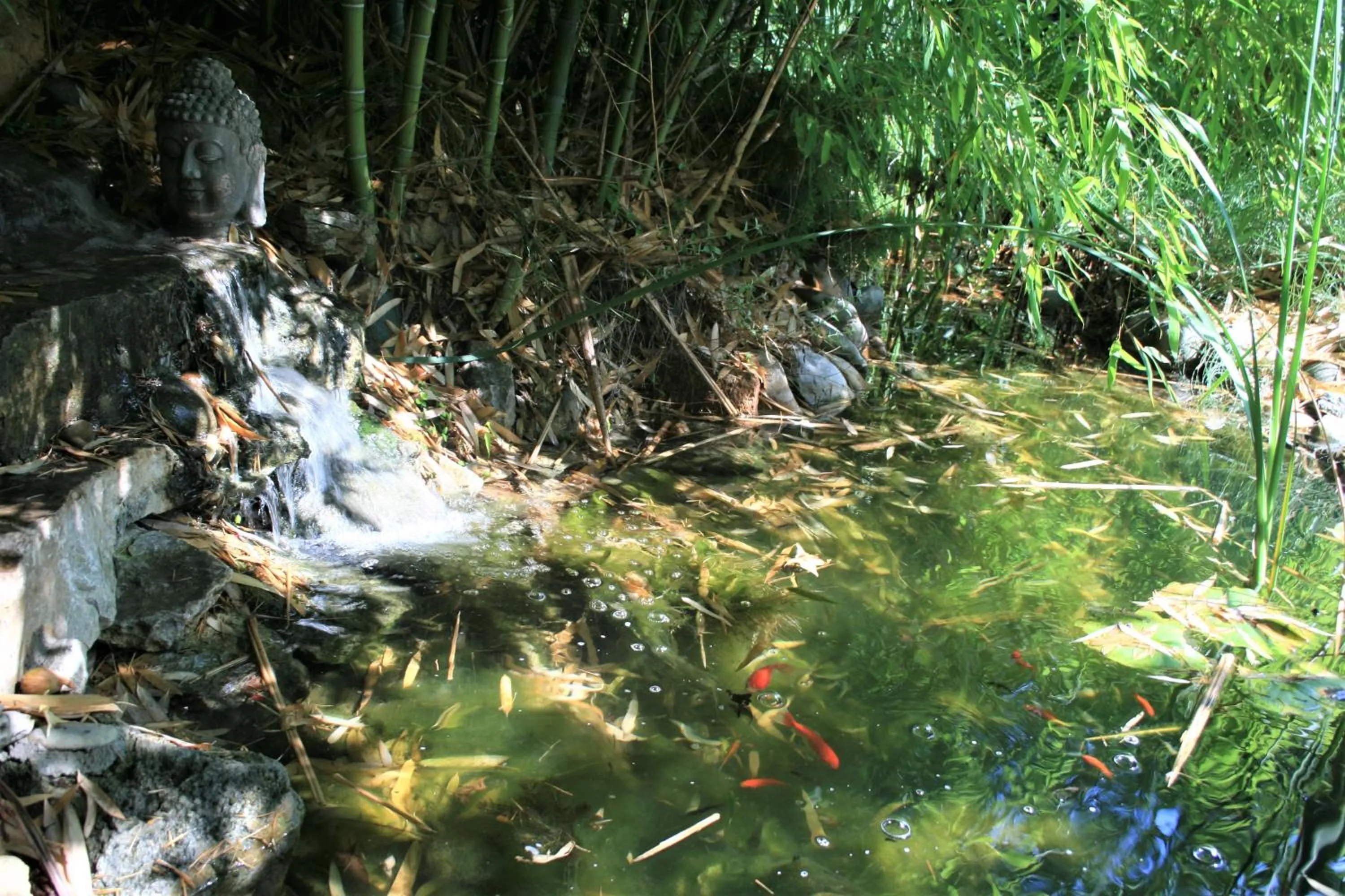 Le Mas De La Cigale Bleue, Caumont Sur Durance