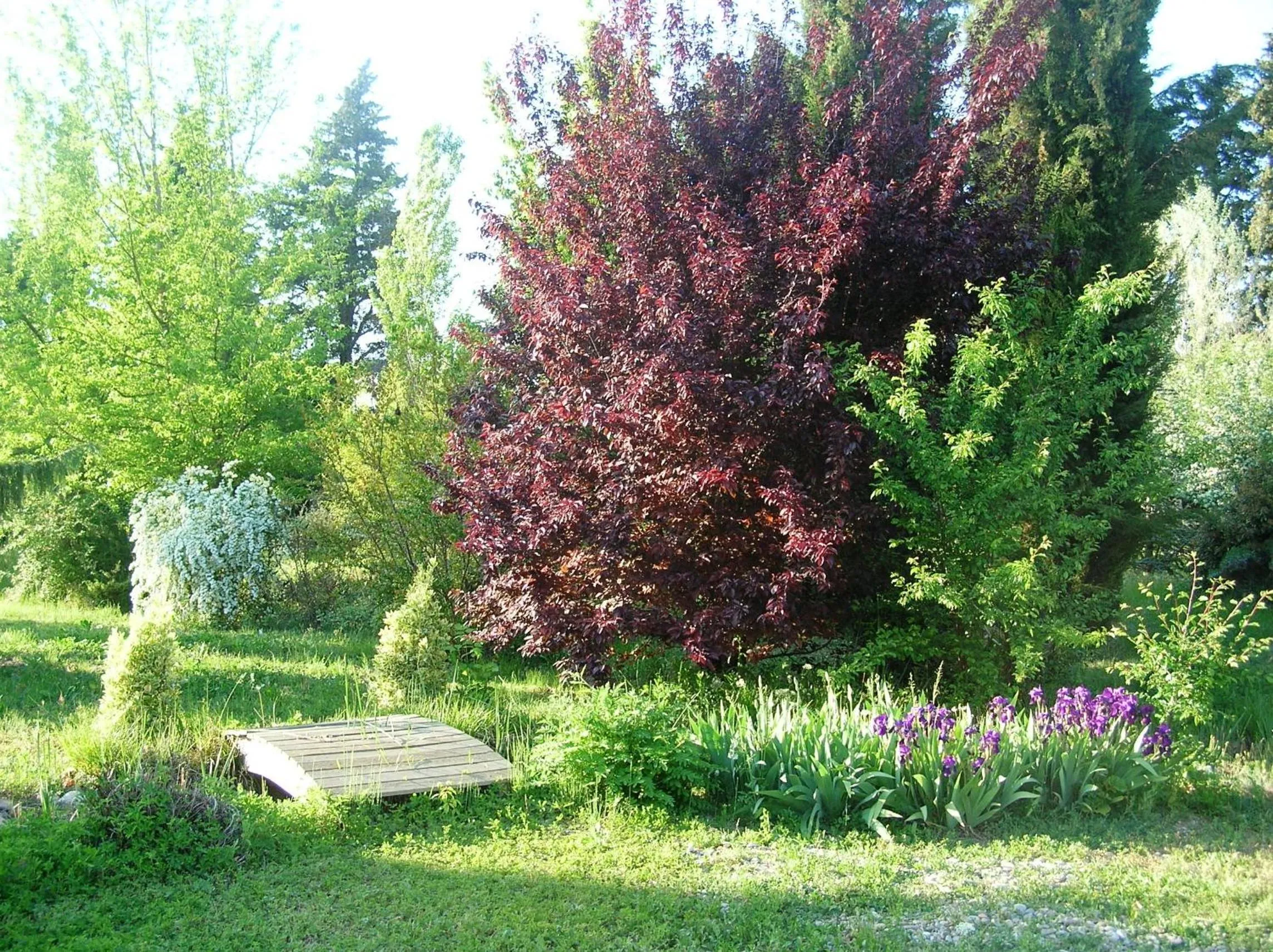 Le Mas De La Cigale Bleue, Caumont Sur Durance