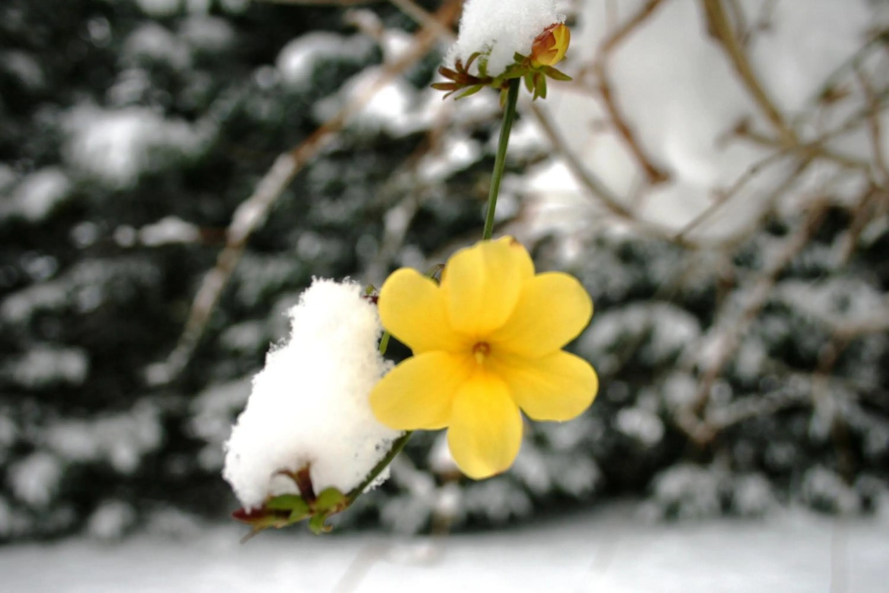 Le Mas De La Cigale Bleue, Caumont Sur Durance