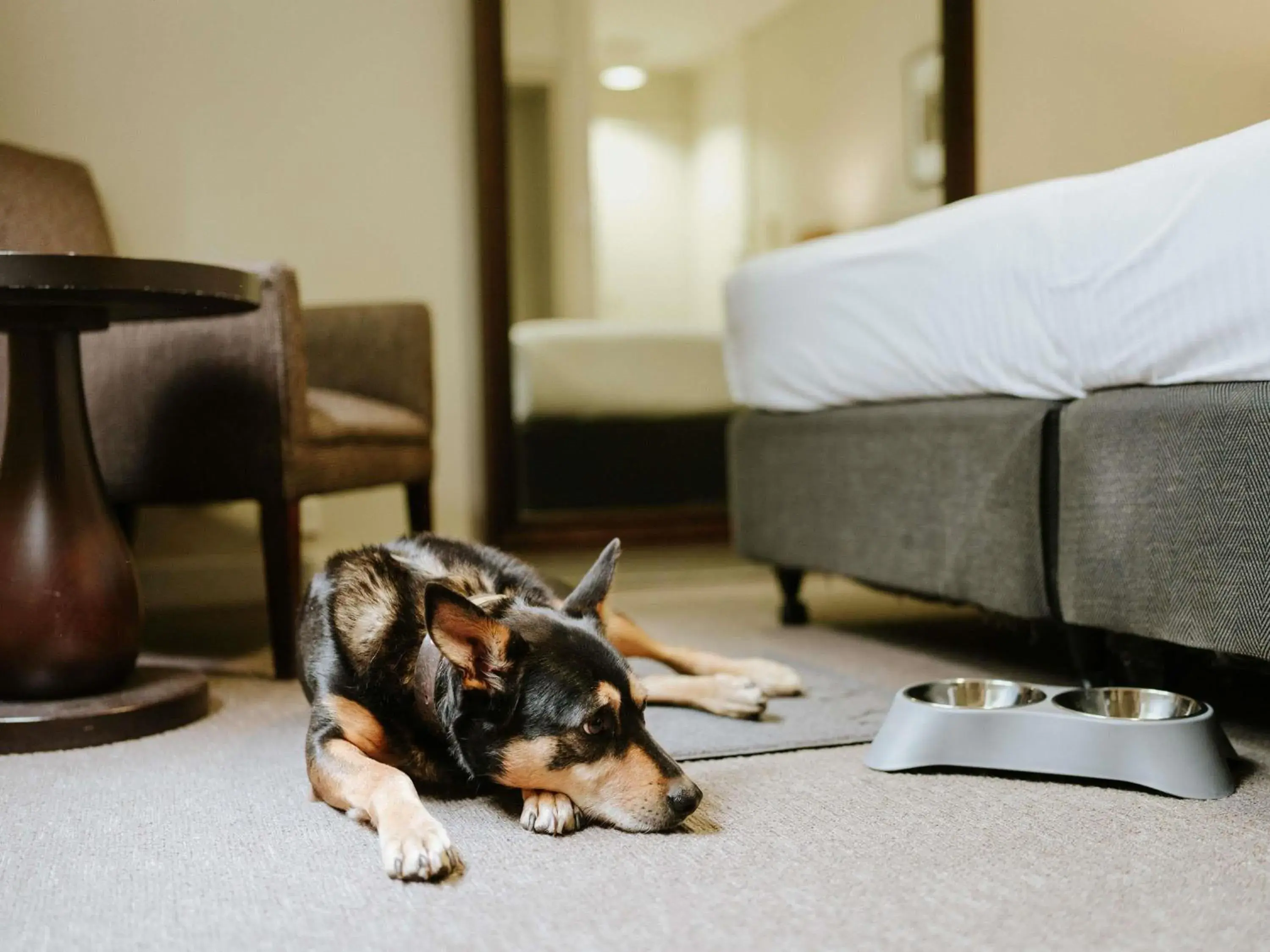 Bedroom, Bed in Peppers Craigieburn Resort Bedroom, Bed in Peppers Craigieburn Resort