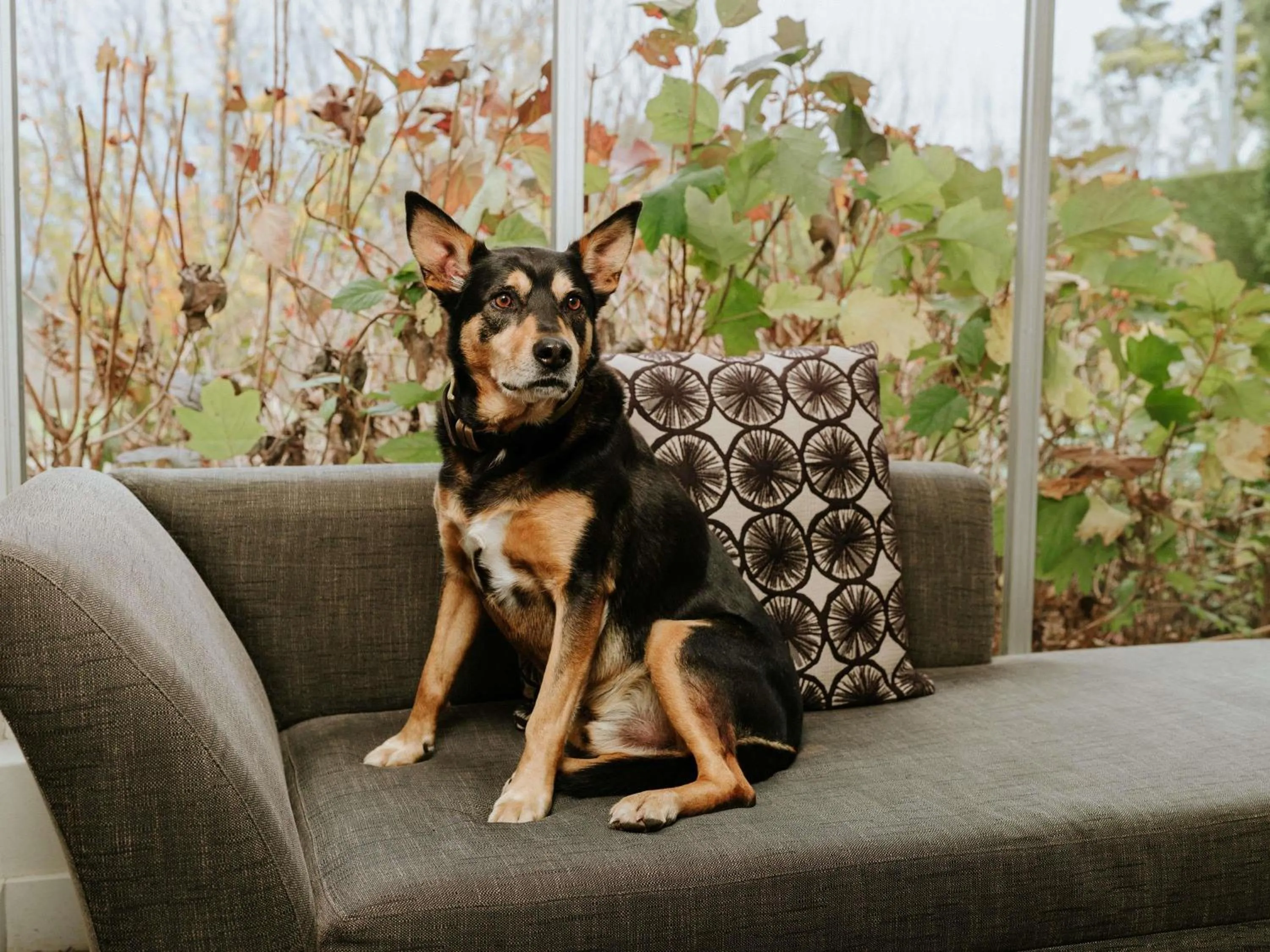 Bedroom in Peppers Craigieburn Resort