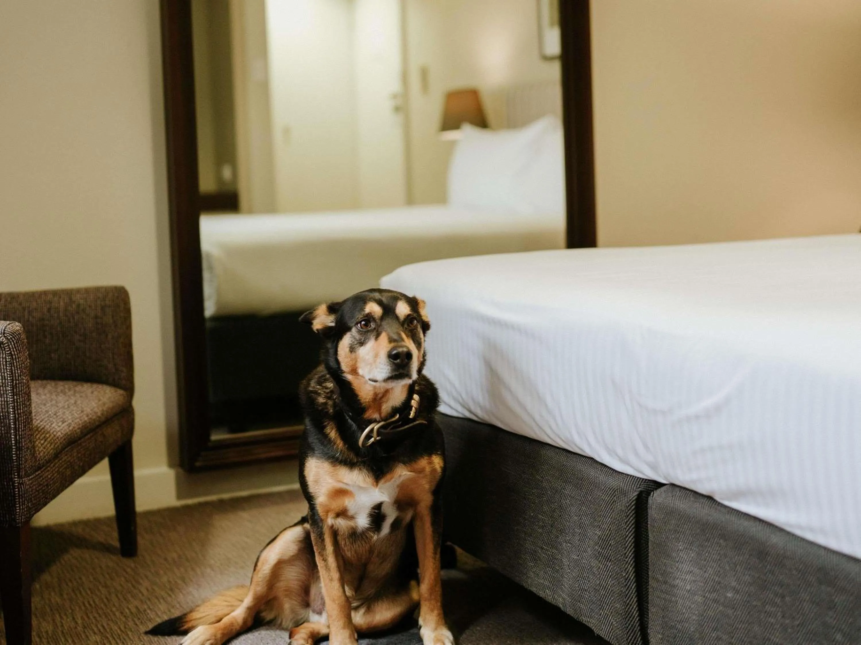 Bedroom, Bed in Peppers Craigieburn Resort