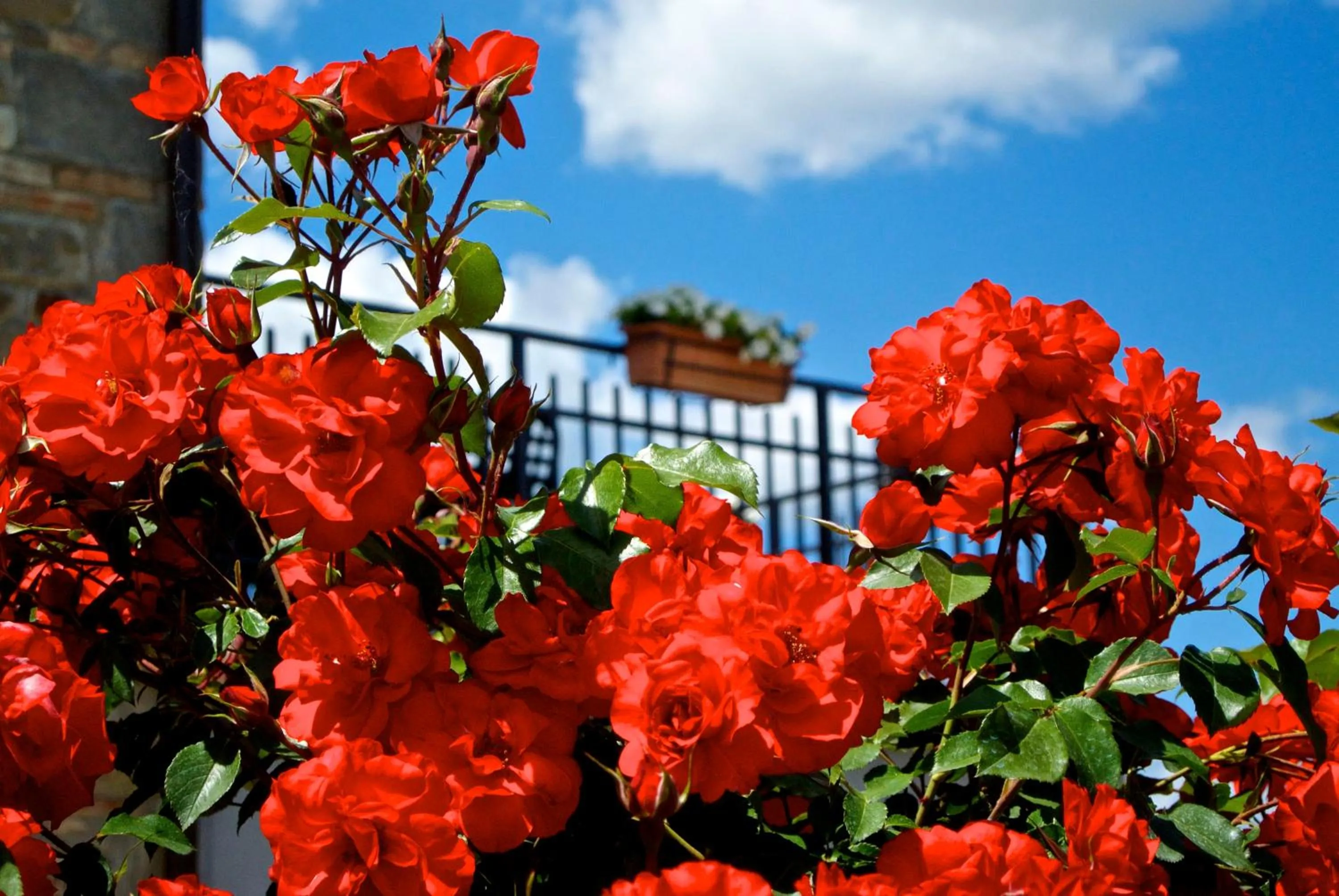 Decorative detail in Casa Donella B&B